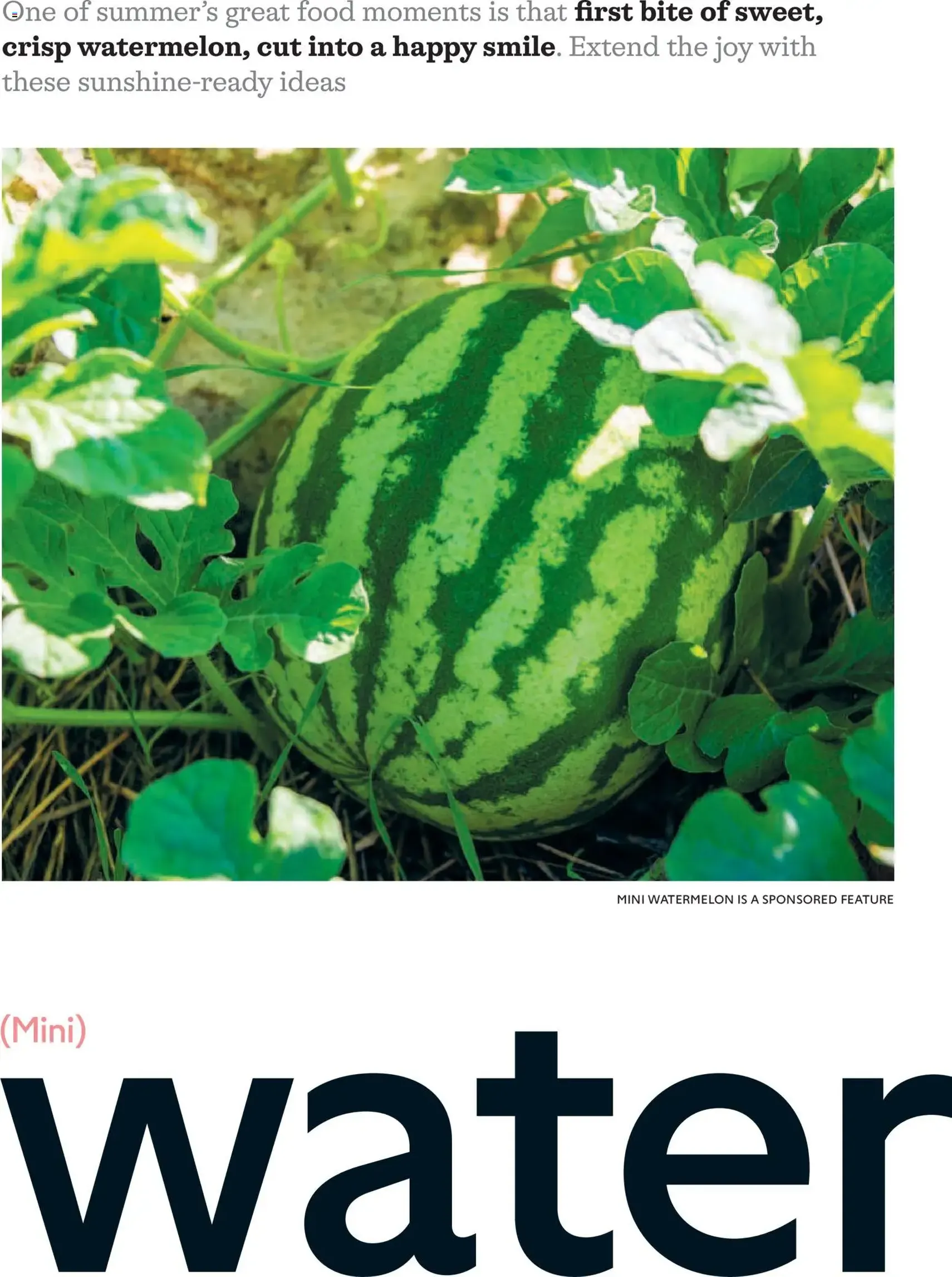 Waitrose - Offers - valid flyer from 01/07/2026, page 58 of 156