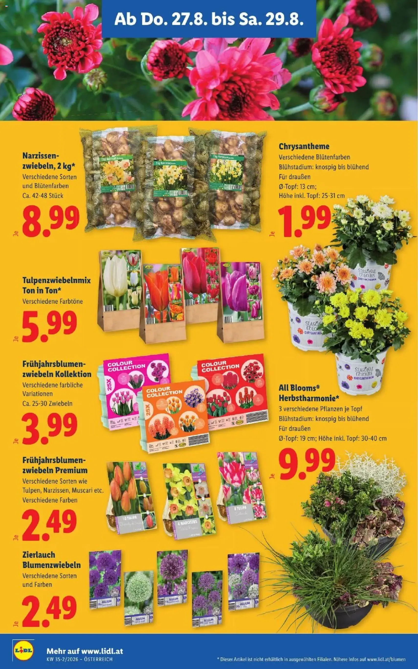 Lidl - Flugblatt - Gültiger Prospekt ab 27.08.2026, Seite 26 von insgesamt 55