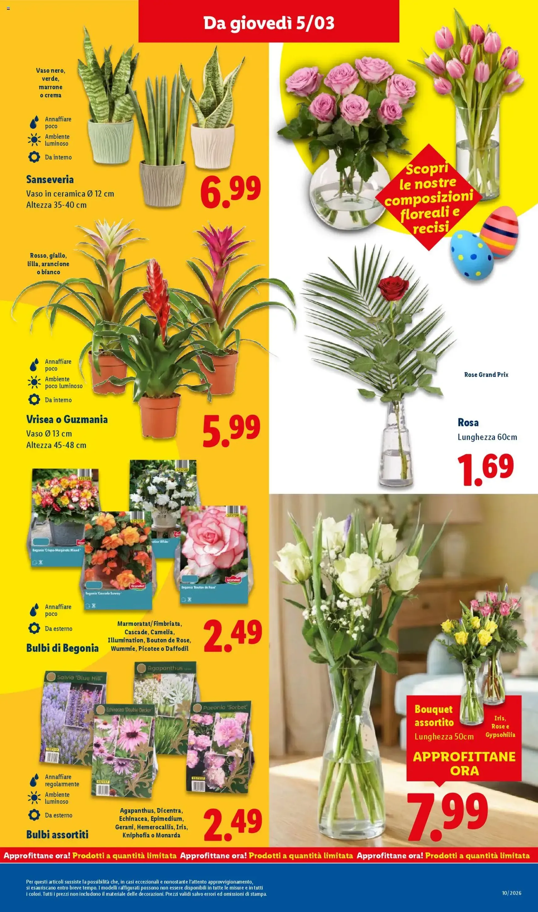 Volantino Lidl - volantino valido dal 02/03/2026 pagina 41 di 57