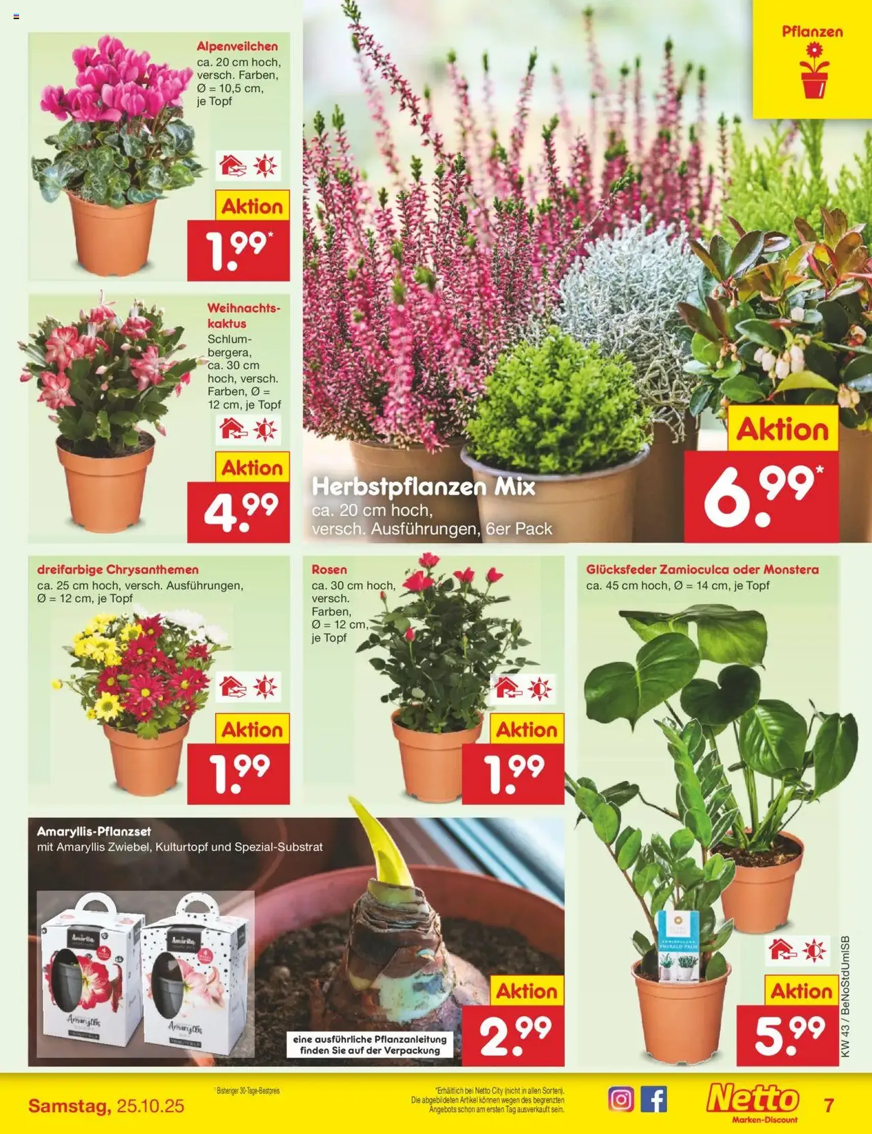 Netto Marken-Discount Prospekt - Gültiger Prospekt ab 20.10.2025, Seite 13 von insgesamt 69 Netto Marken-Discount Prospekt - Gültiger Prospekt ab 20.10.2025, Seite 13 von insgesamt 69