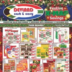 Devland - Monthly Specials - Flyer preview valid from 17/11/2025