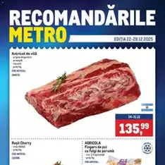 Catalog Metro - previzualizare cataloage valabilă începând cu 22.12.2025