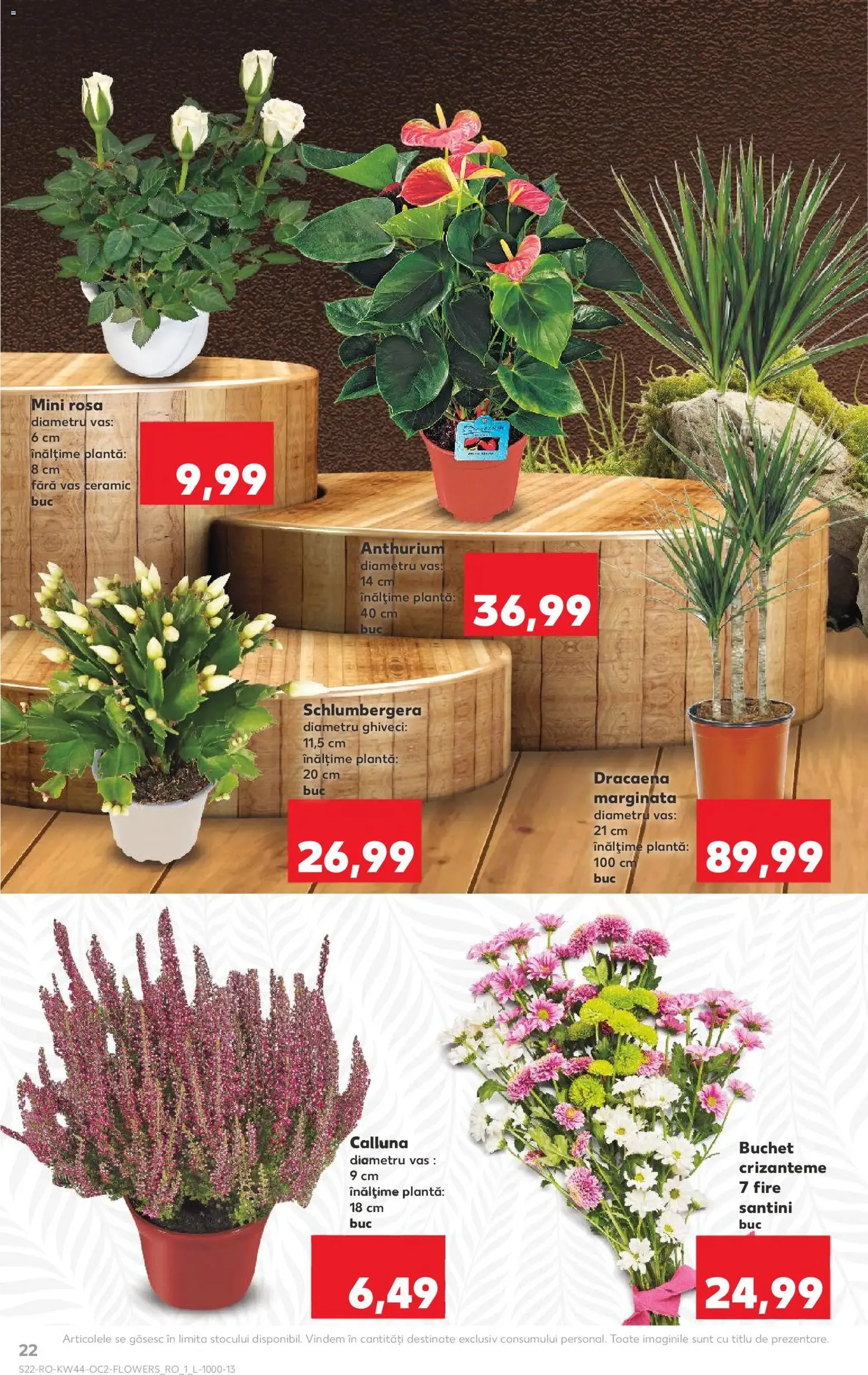 Kaufland RO - București - 2025.10.29. érvényes szórólap 22 oldal 70 oldalból Kaufland RO - București - 2025.10.29. érvényes szórólap 22 oldal 70 oldalból