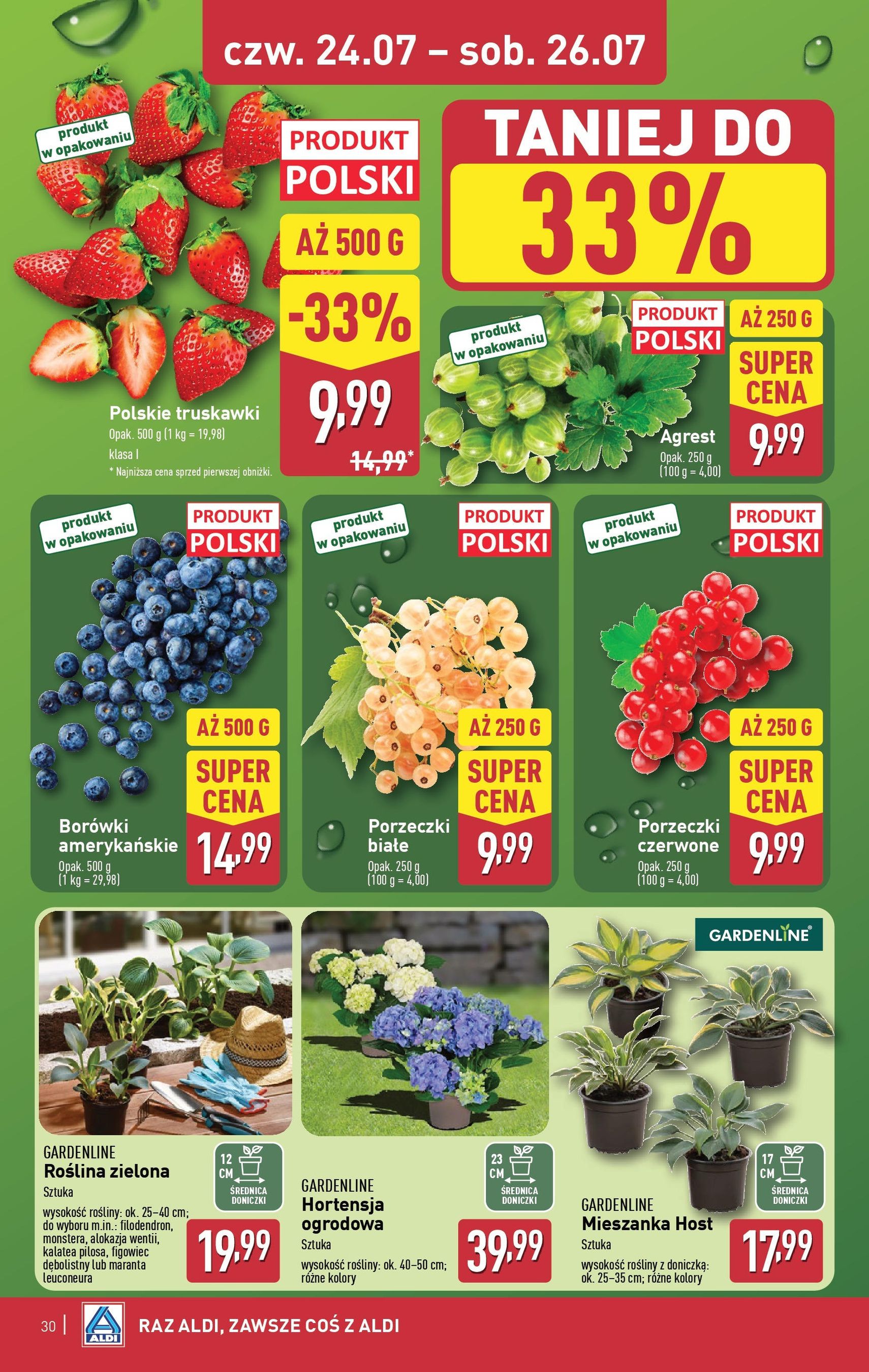 Aldi Gazetka - ważny gazetka od 21.07.2025 strona 30 z 42
