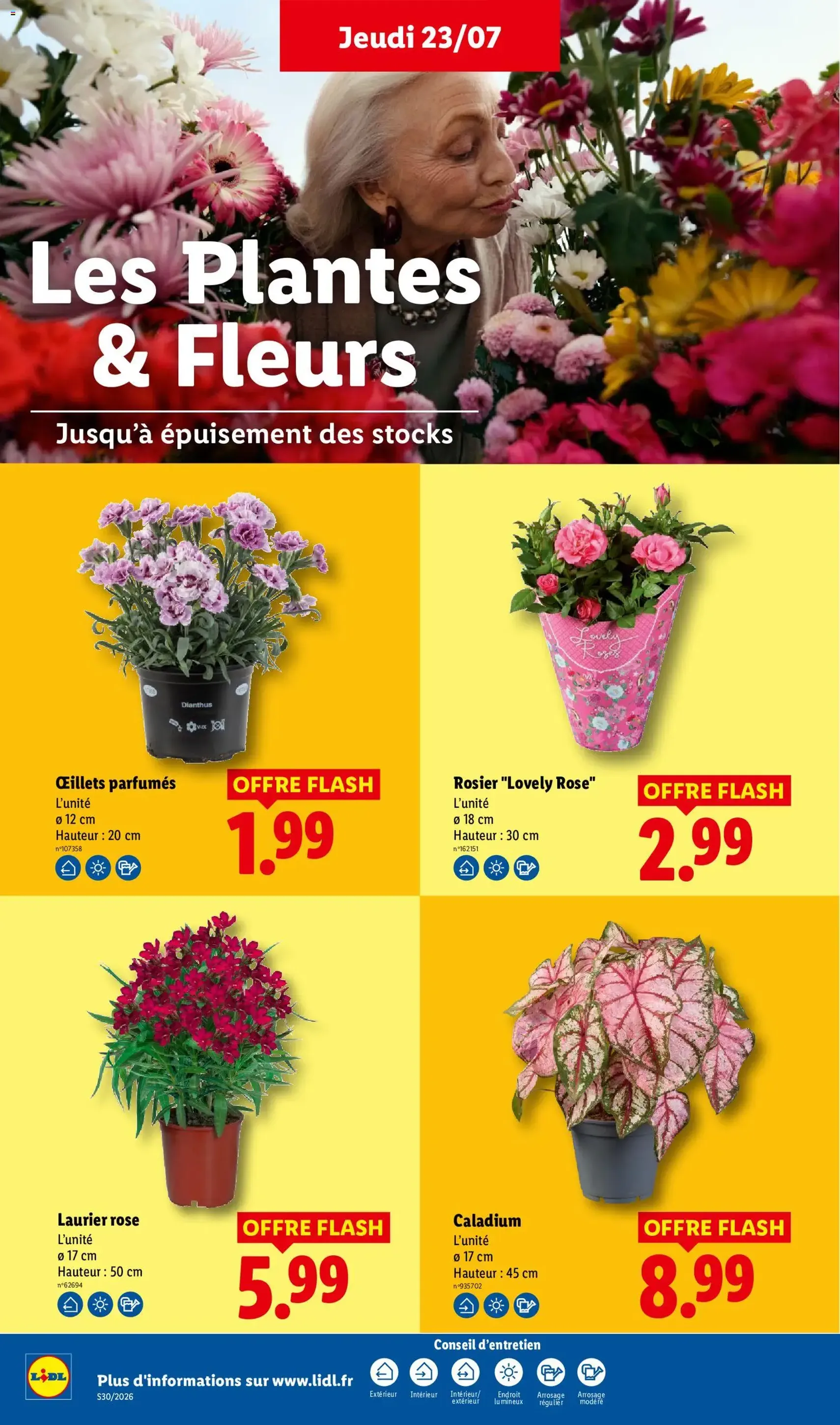 LIDL catalogue - brochure valable à partir du 23/07/2026, page 30 sur 64