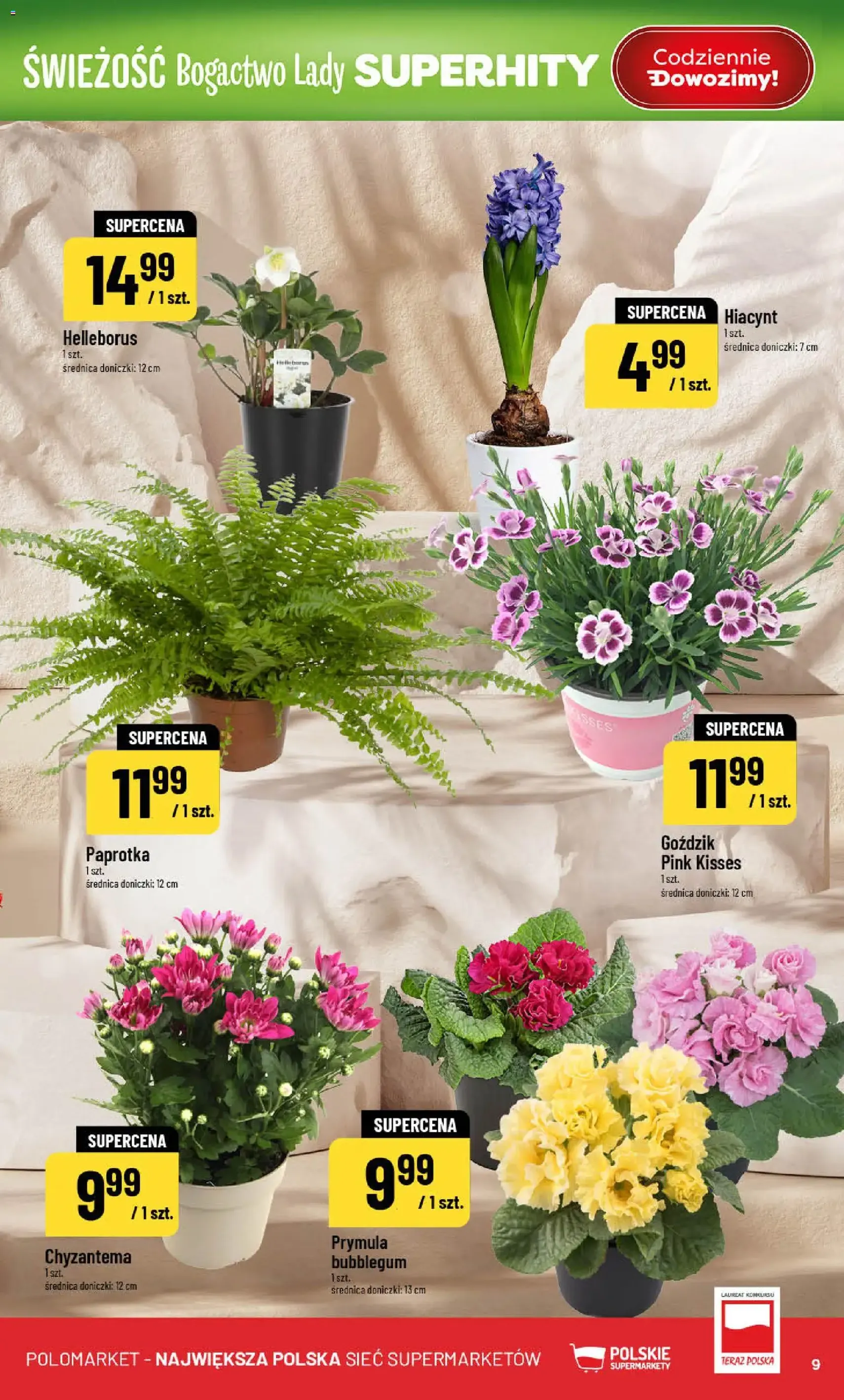 POLOmarket Gazetka - ważny gazetka od 18.02.2026 strona 9 z 50
