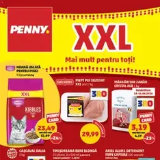 PENNY Catalog - previzualizare cataloage valabilă începând cu 10.06.2026