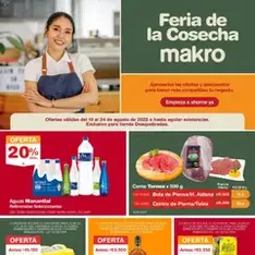Vista previa del folleto Makro - Promociones Familia válido desde 19/08/2025