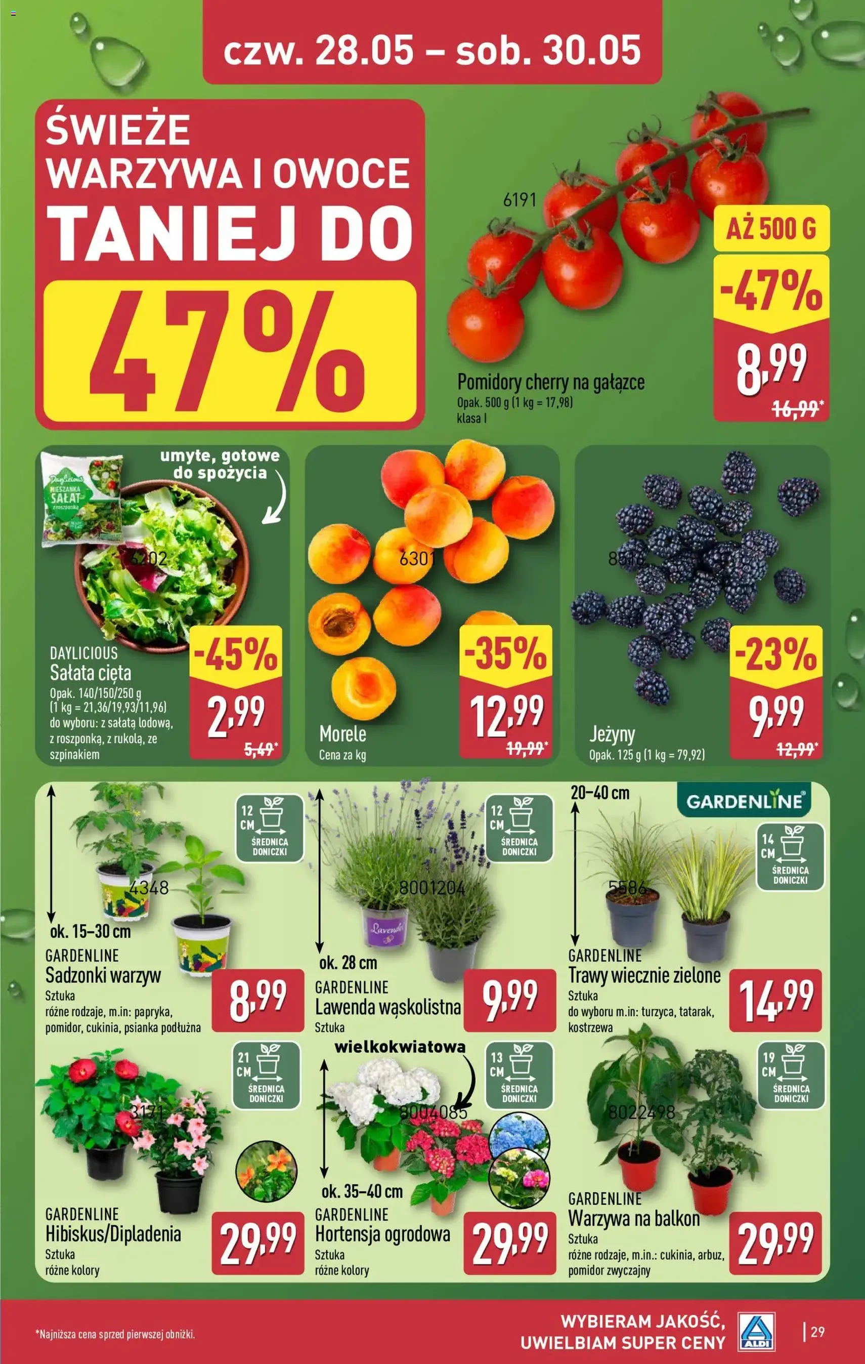 Aldi gazetka - ważny gazetka od 25.05.2026 strona 29 z 38