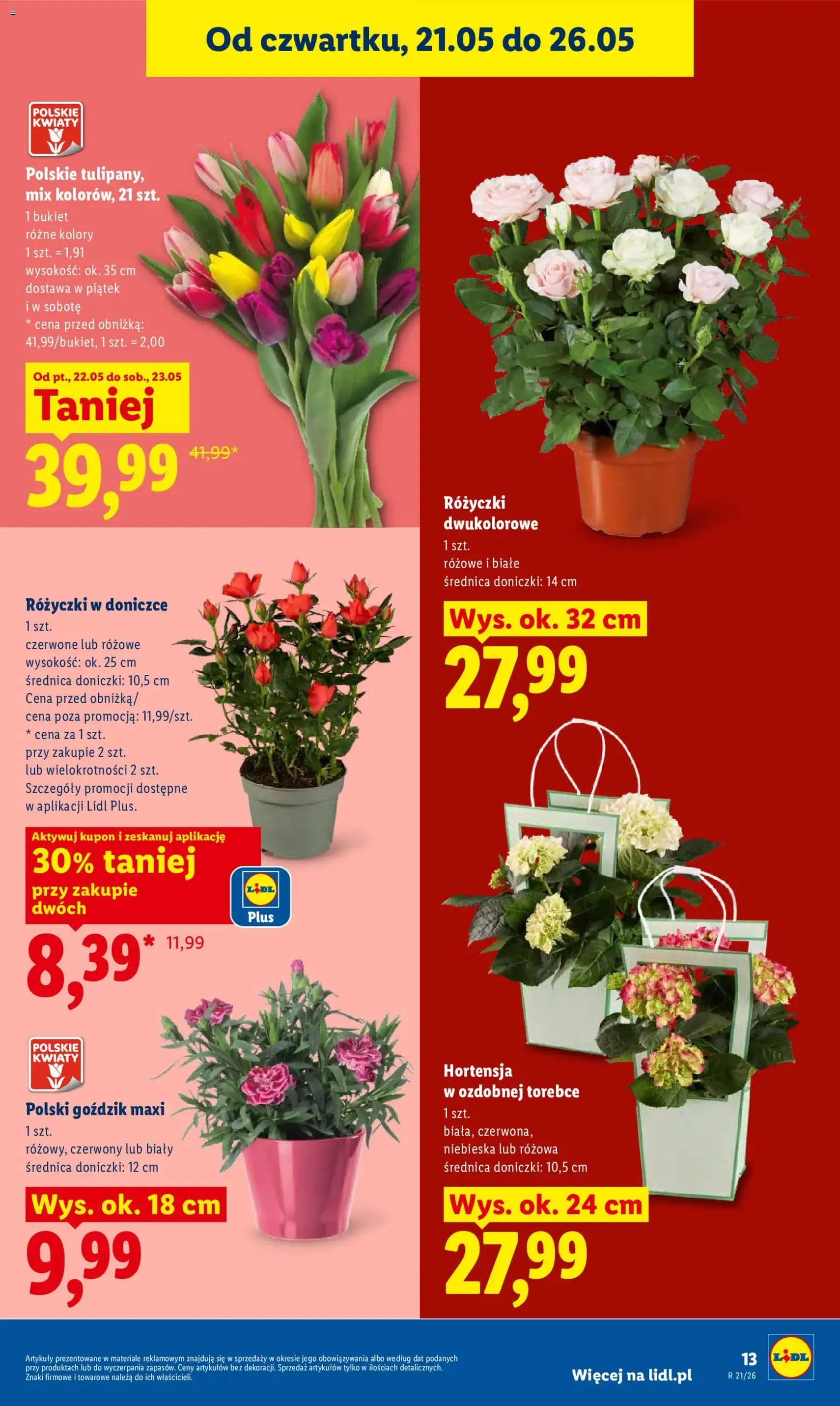 Lidl gazetka - ważny gazetka od 21.05.2026 strona 13 z 93