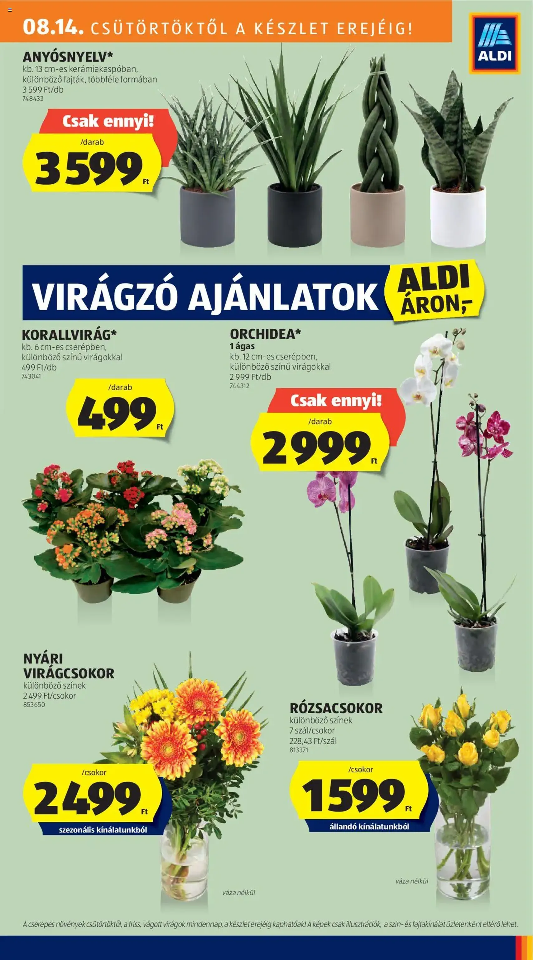 Aldi Akciós újság - 2025.08.14. érvényes szórólap 27 oldal 52 oldalból Aldi Akciós újság - 2025.08.14. érvényes szórólap 27 oldal 52 oldalból