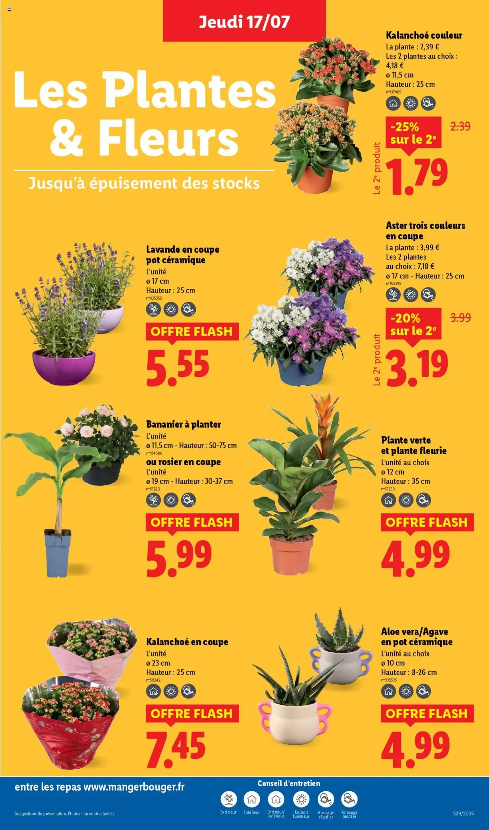 LIDL catalogue semaine 28 - brochure valable à partir du 17/07/2025, page 29 sur 82 LIDL catalogue semaine 28 - brochure valable à partir du 17/07/2025, page 29 sur 82
