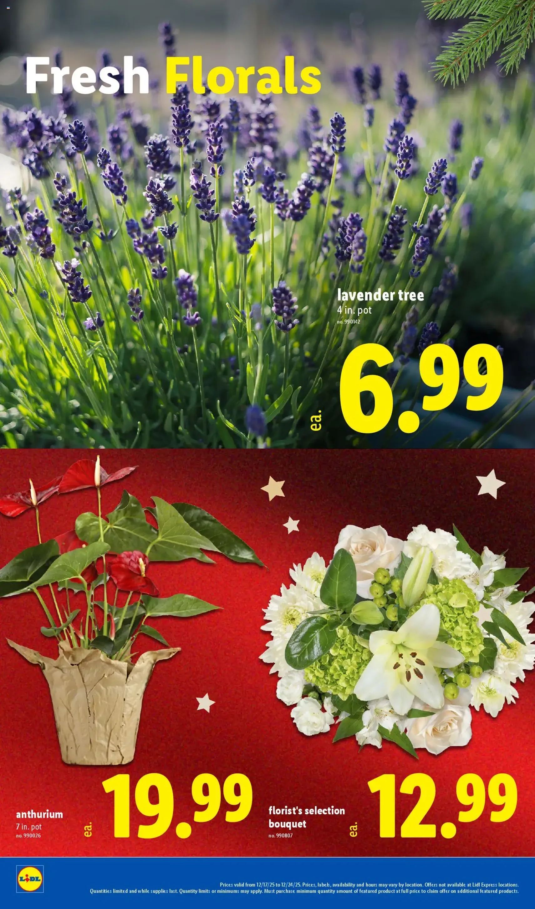 Lidl Weekly Ad - valid flyer from 12/17/2025, page 28 of 40