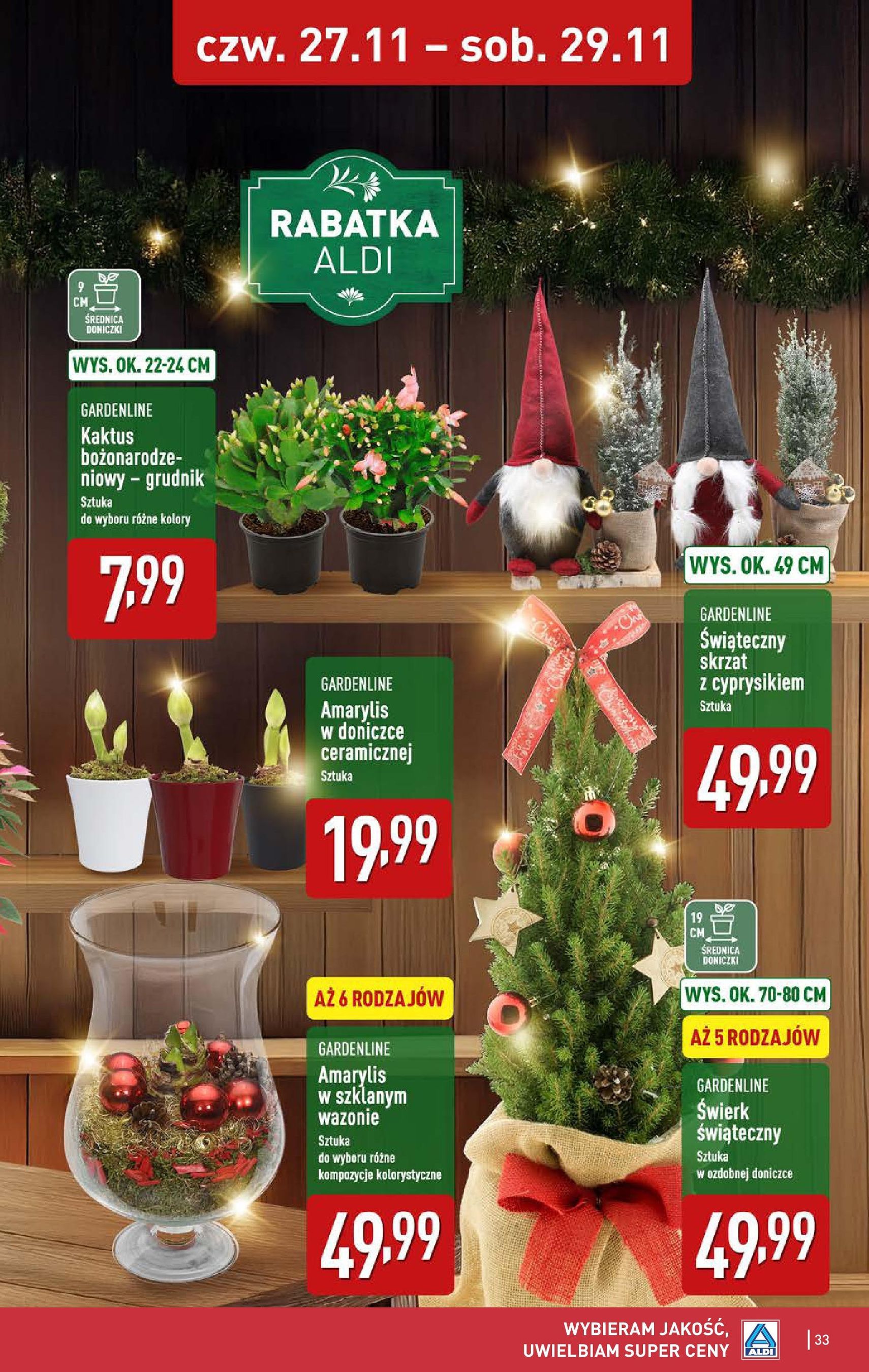 Aldi Gazetka - ważny gazetka od 24.11.2025 strona 33 z 42