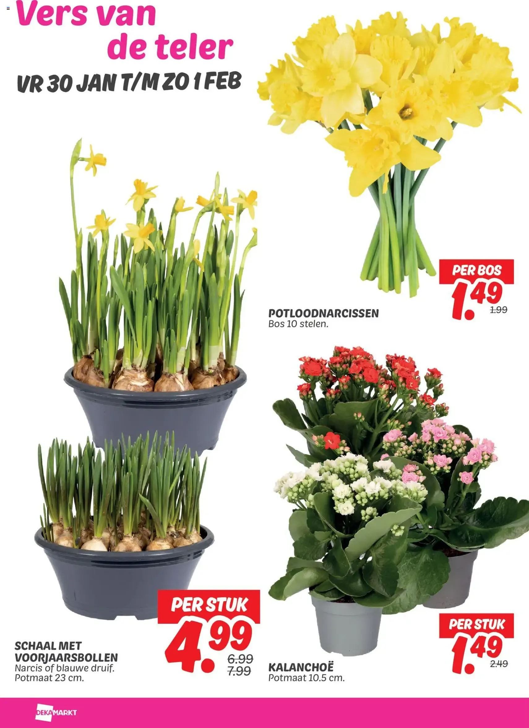 Dekamarkt - Folder - geldige folder vanaf 27-01-2026 pagina 27 van 30