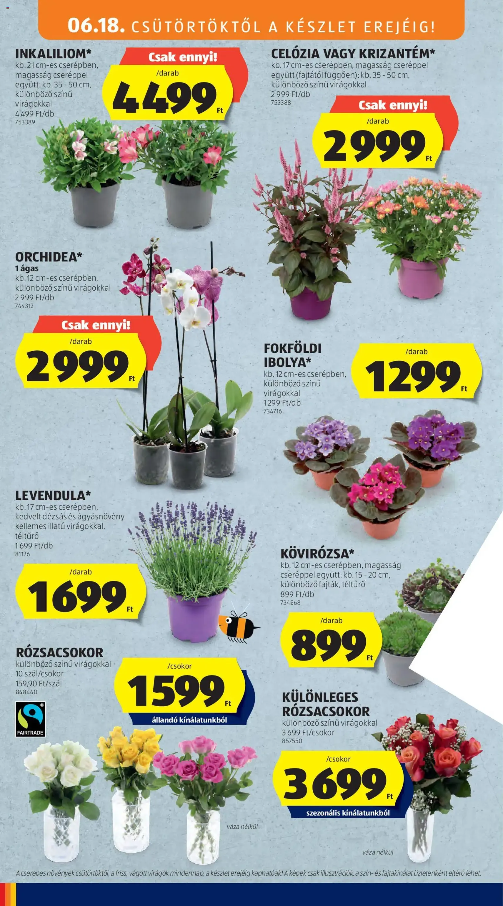 Aldi akciós újság - 2026.06.18. érvényes szórólap 34 oldal 37 oldalból