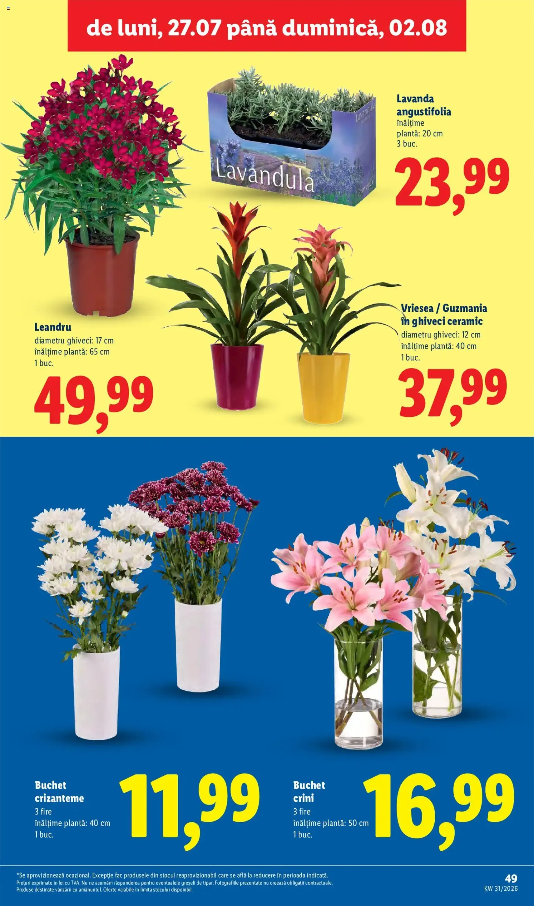 Lidl Catalog - cataloage valabile începând cu 27.07.2026 pagina 49 din 80