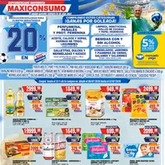 Vista previa del folleto Maxiconsumo ofertas válido desde 29/06/2026