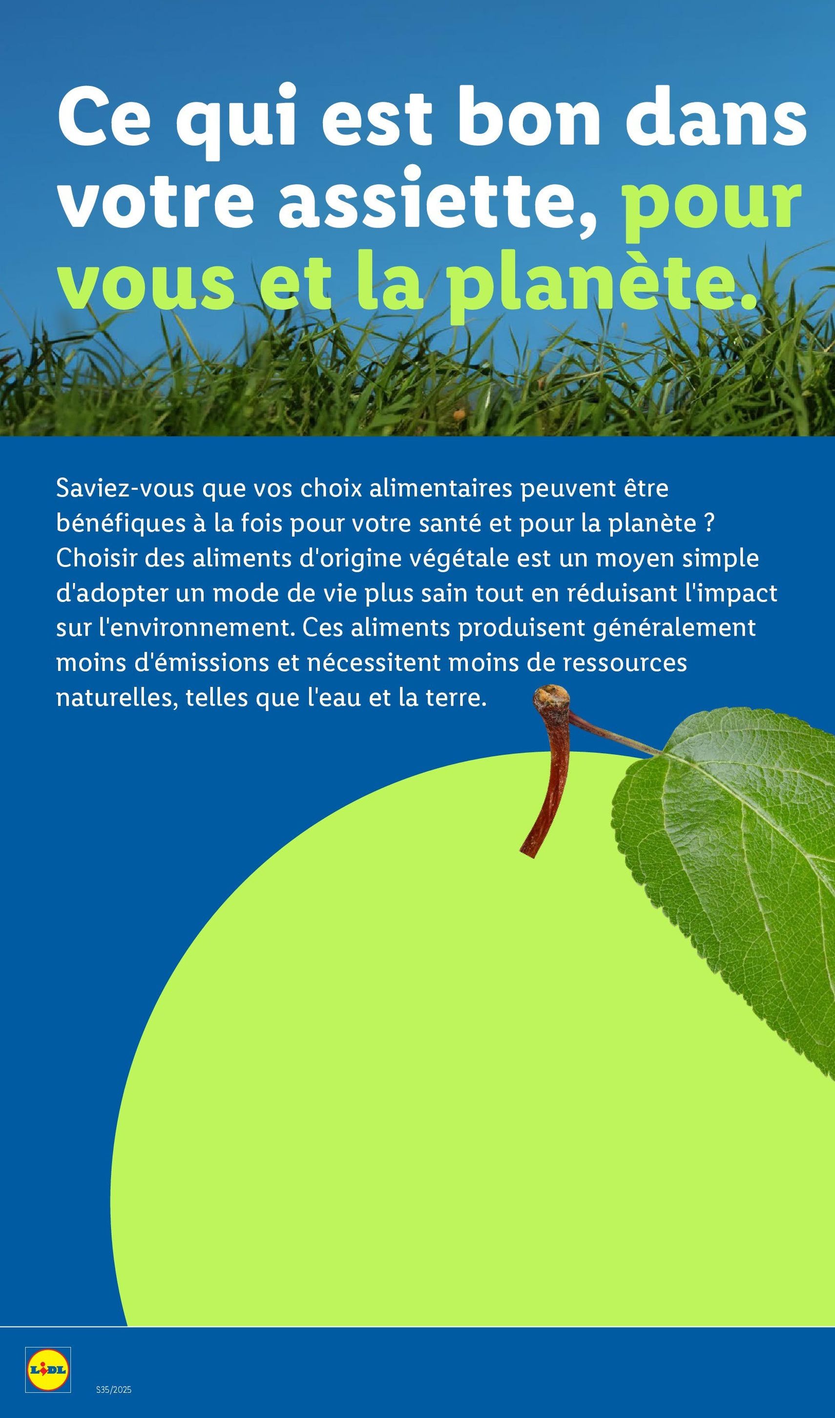 LIDL catalogue semaine 35 - brochure valable à partir du 28/08/2025, page 28 sur 73 LIDL catalogue semaine 35 - brochure valable à partir du 28/08/2025, page 28 sur 73