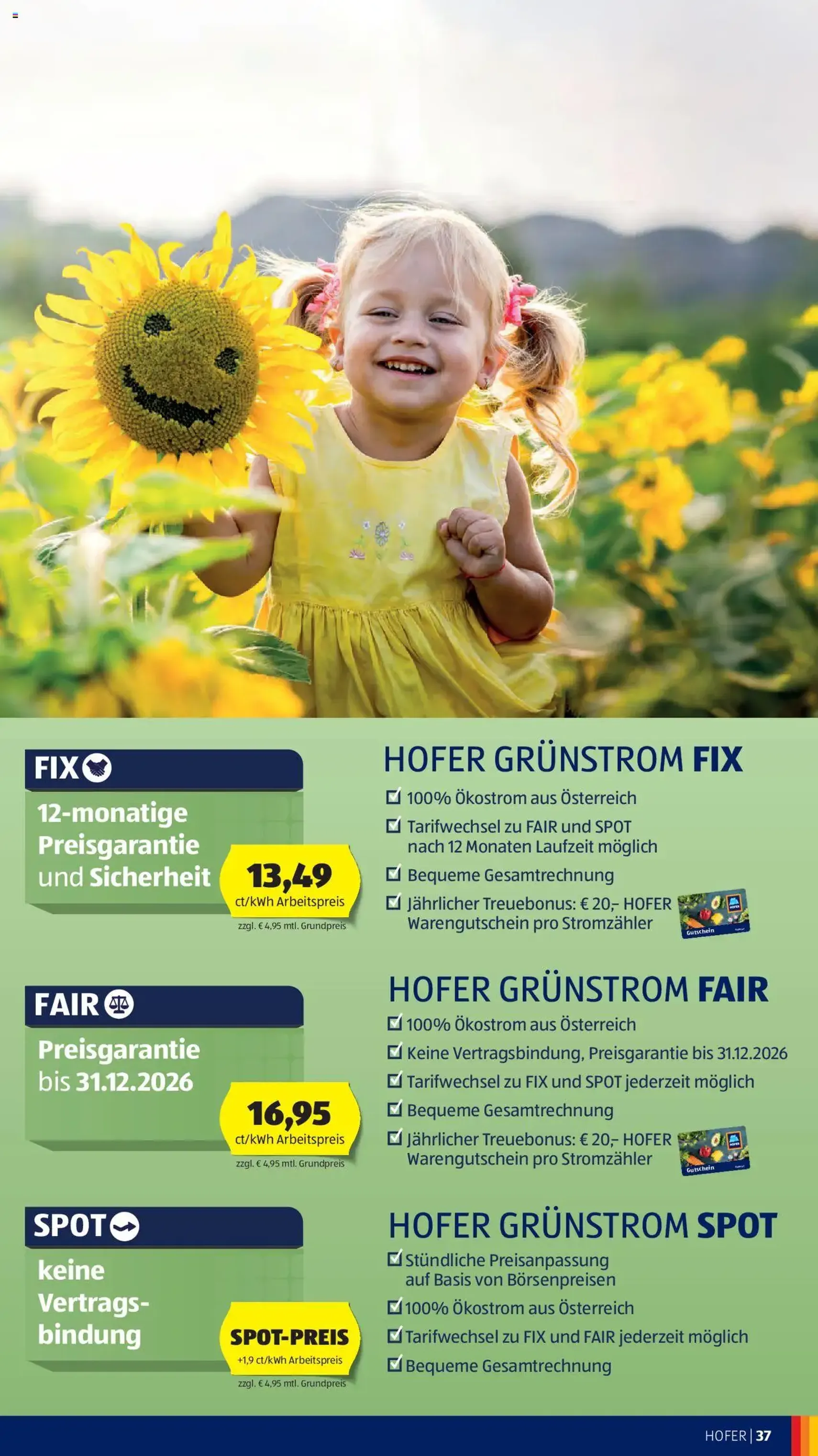 Hofer Flugblatt - Gültiger Prospekt ab 03.10.2025, Seite 41 von insgesamt 45