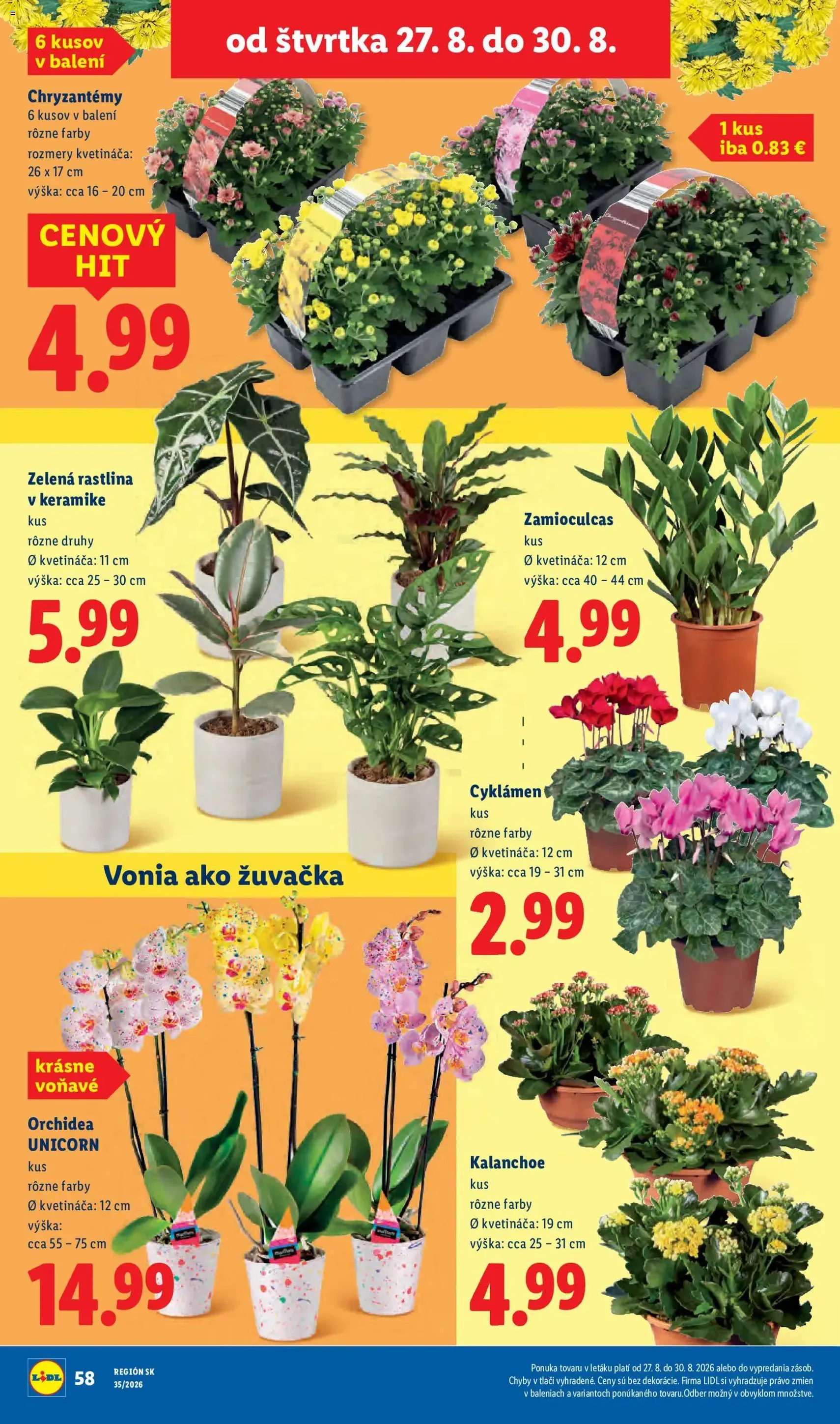 Lidl leták - platný leták od 24.08.2026 strana 52 z 99
