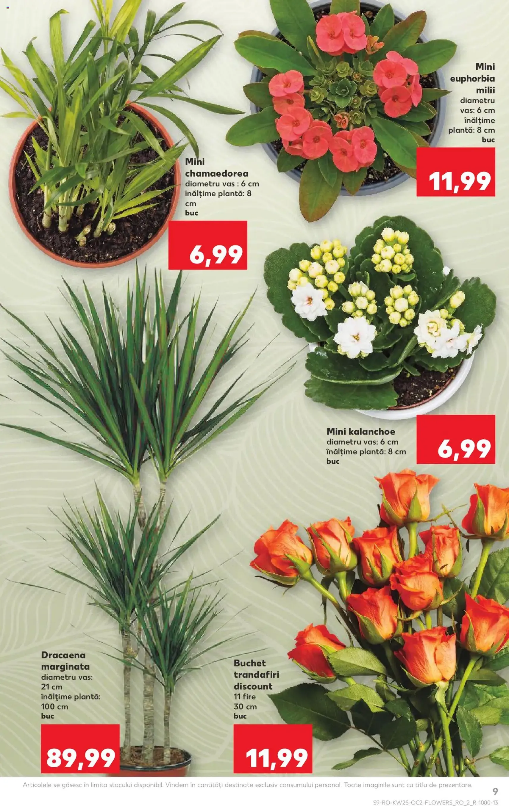 Kaufland Catalog - cataloage valabile începând cu 17.06.2026 pagina 9 din 66