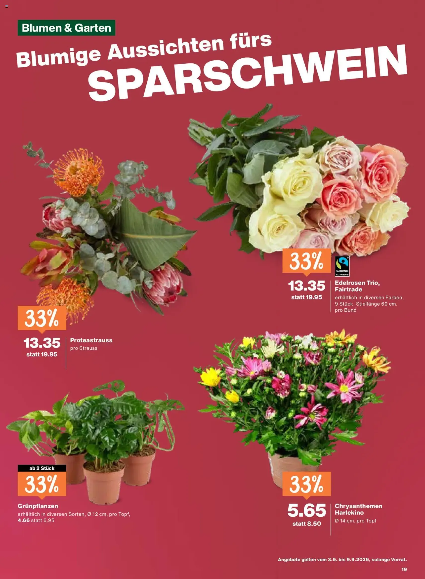 Migros aktionen - Gültiger Prospekt ab 03.09.2026, Seite 19 von insgesamt 20
