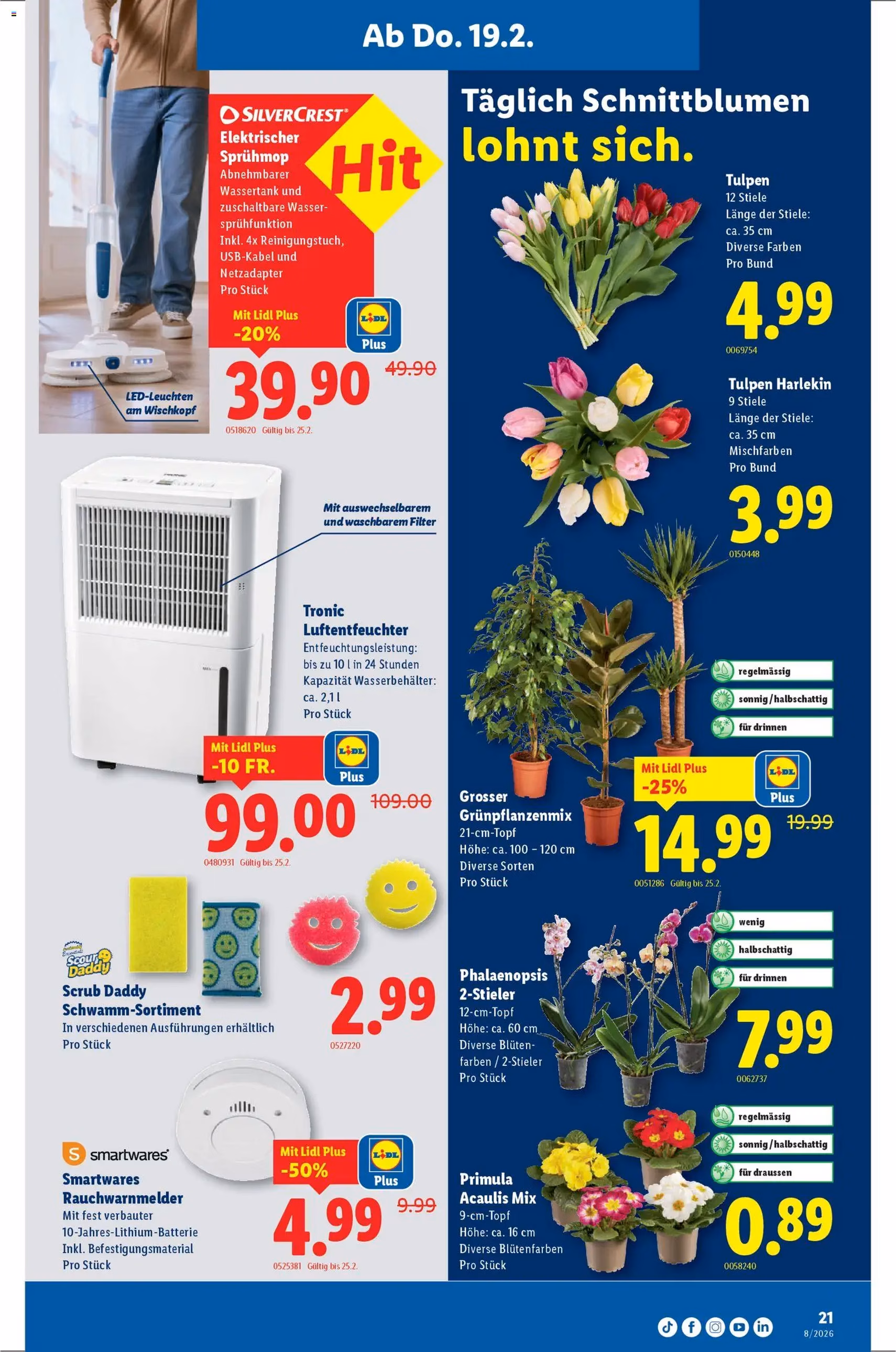 Lidl Aktionen - Gültiger Prospekt ab 19.02.2026, Seite 21 von insgesamt 32