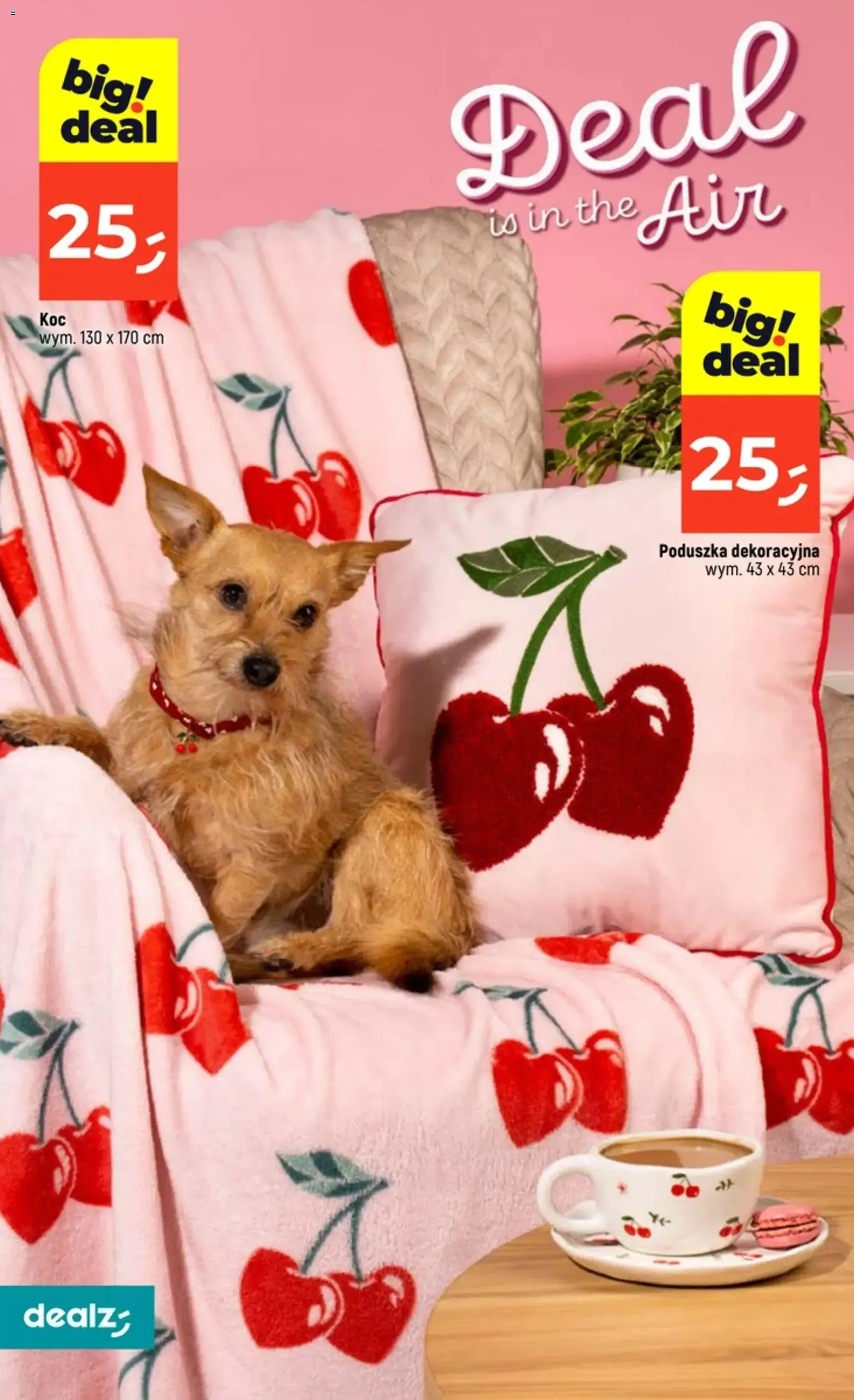 Dealz Gazetka - ważny gazetka od 29.01.2026 strona 20 z 48