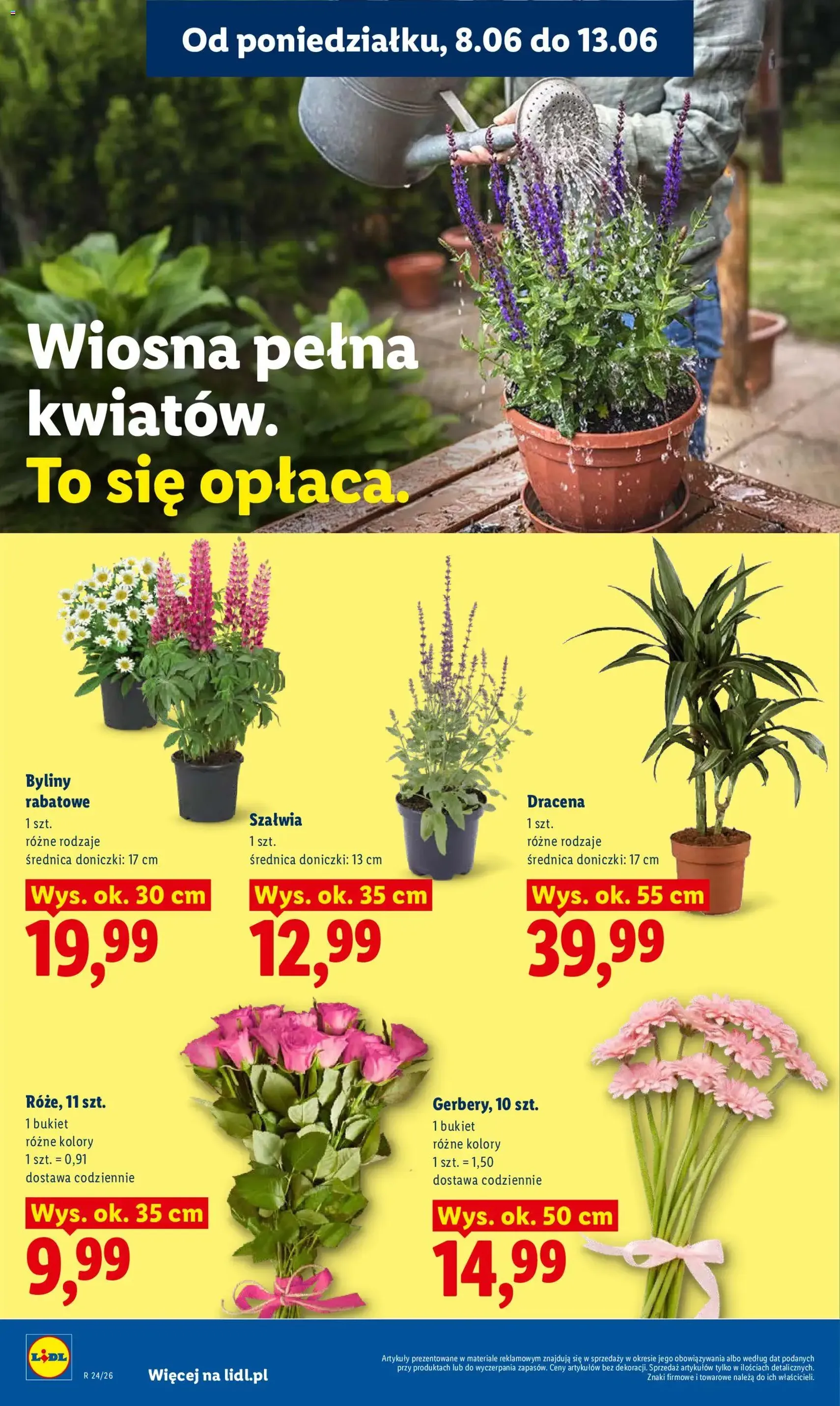 Lidl gazetka - ważny gazetka od 08.06.2026 strona 82 z 88