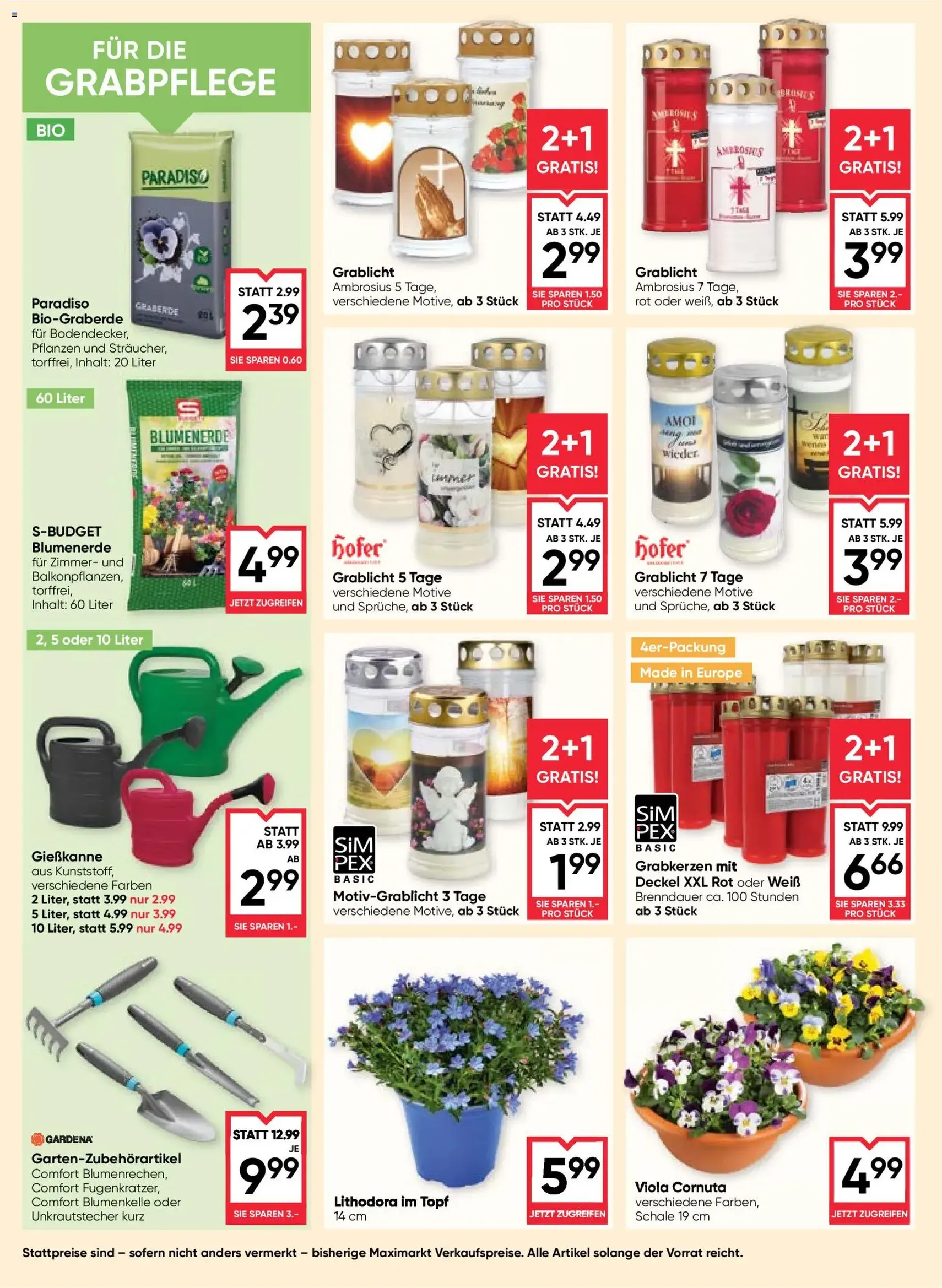 Maximarkt Flugblatt - Gültiger Prospekt ab 12.03.2026, Seite 20 von insgesamt 24