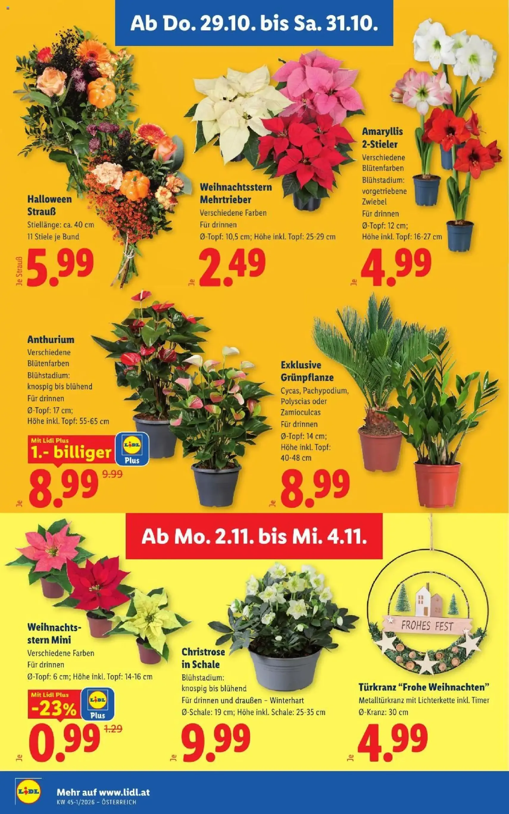 Lidl Flugblatt - Gültiger Prospekt ab 29.10.2026, Seite 28 von insgesamt 50