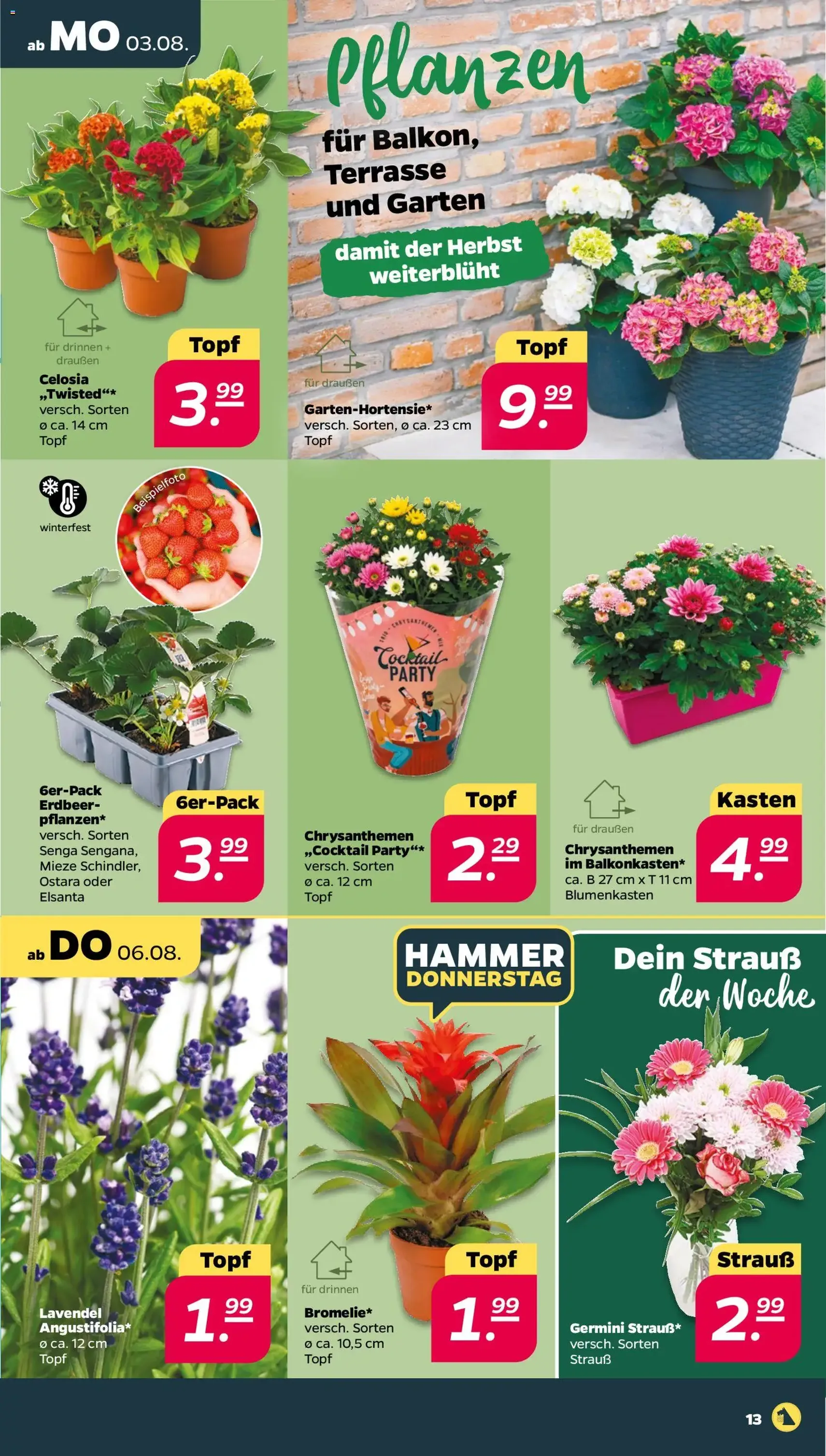 Netto Prospekt - Gültiger Prospekt ab 03.08.2026, Seite 15 von insgesamt 33