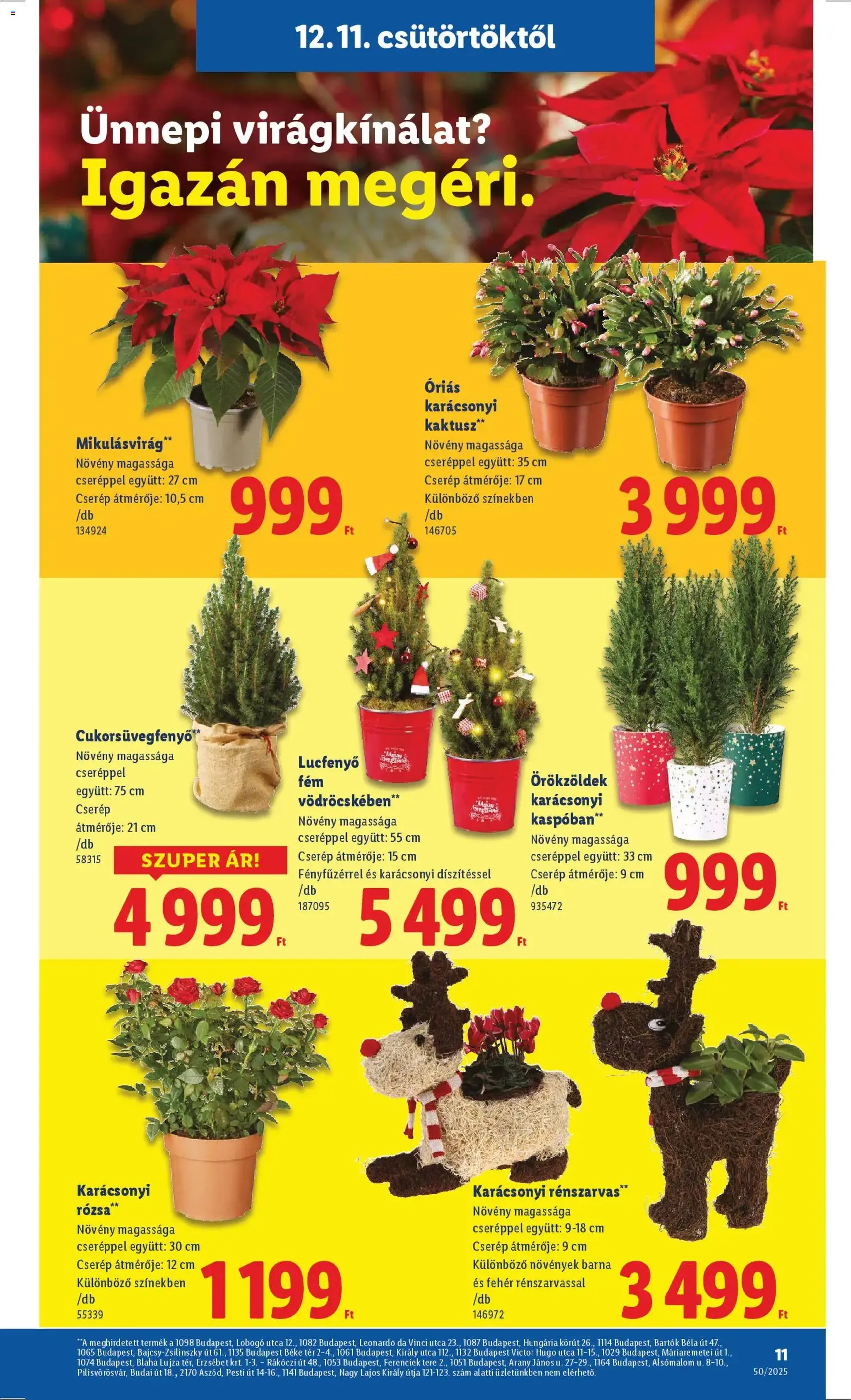 Lidl Akciós újság - 2025.12.11. érvényes szórólap 11 oldal 66 oldalból