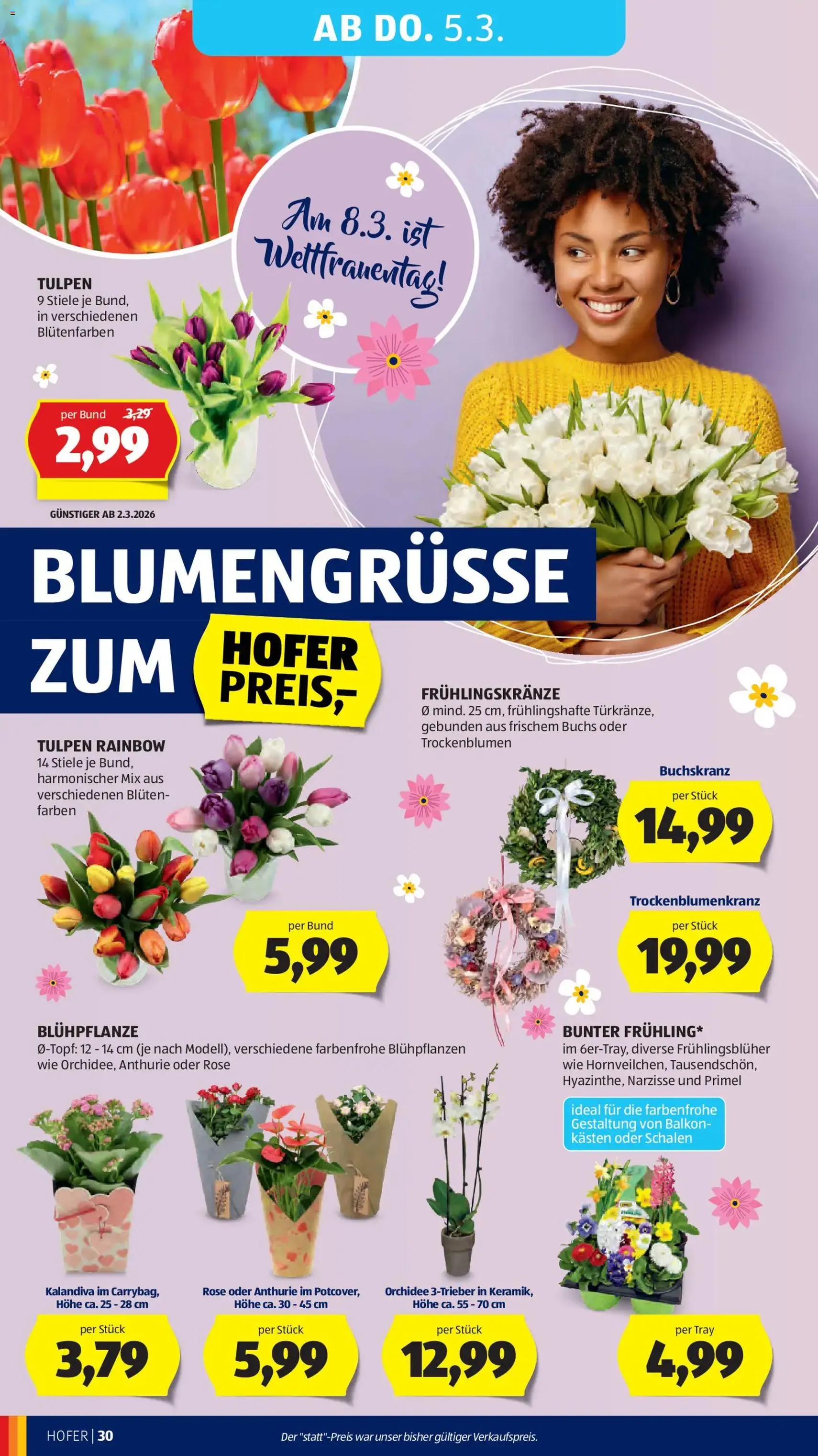 Hofer Flugblatt - Gültiger Prospekt ab 25.02.2026, Seite 34 von insgesamt 41