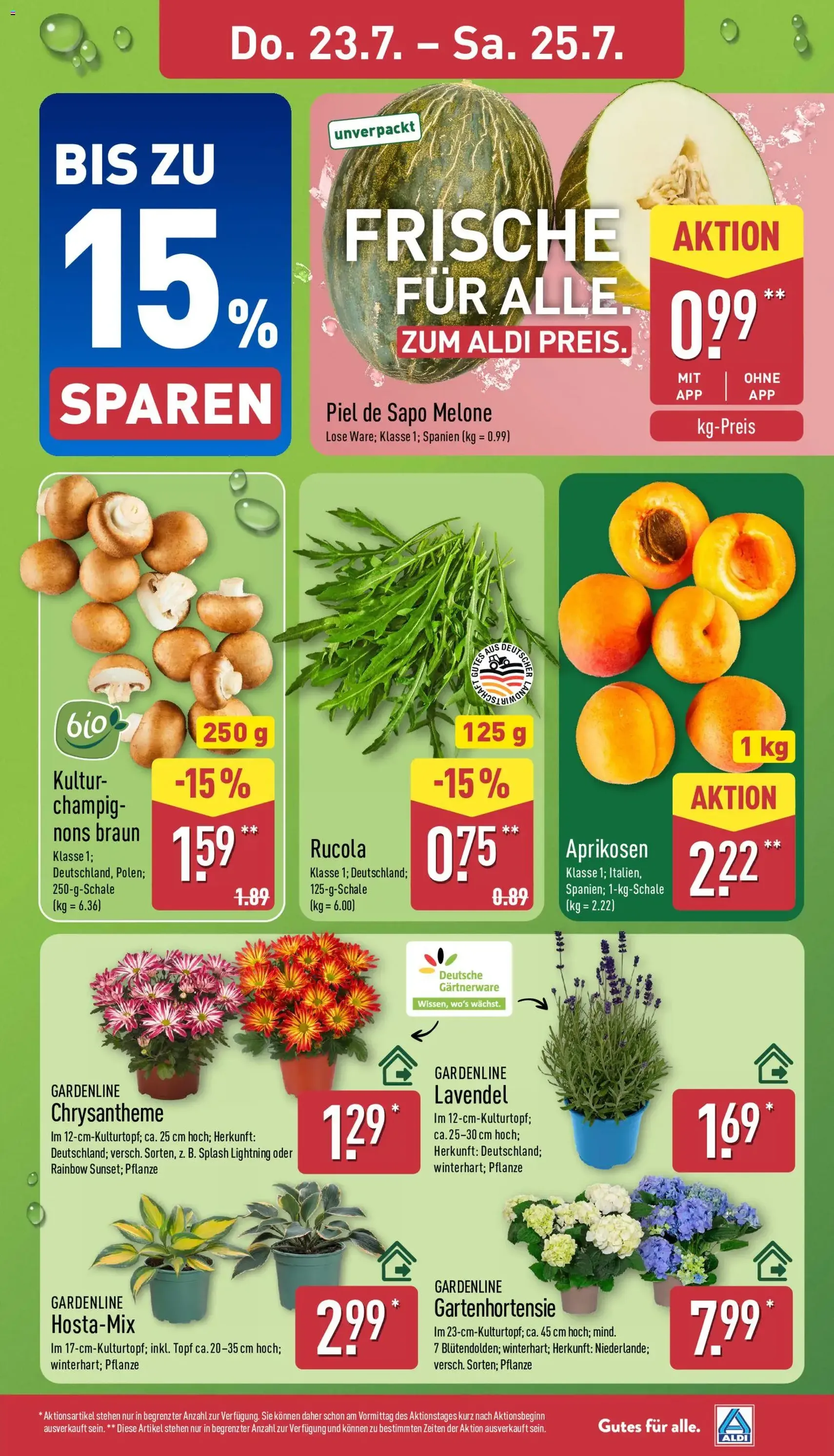 Aldi Prospekt - Gültiger Prospekt ab 20.07.2026, Seite 29 von insgesamt 42