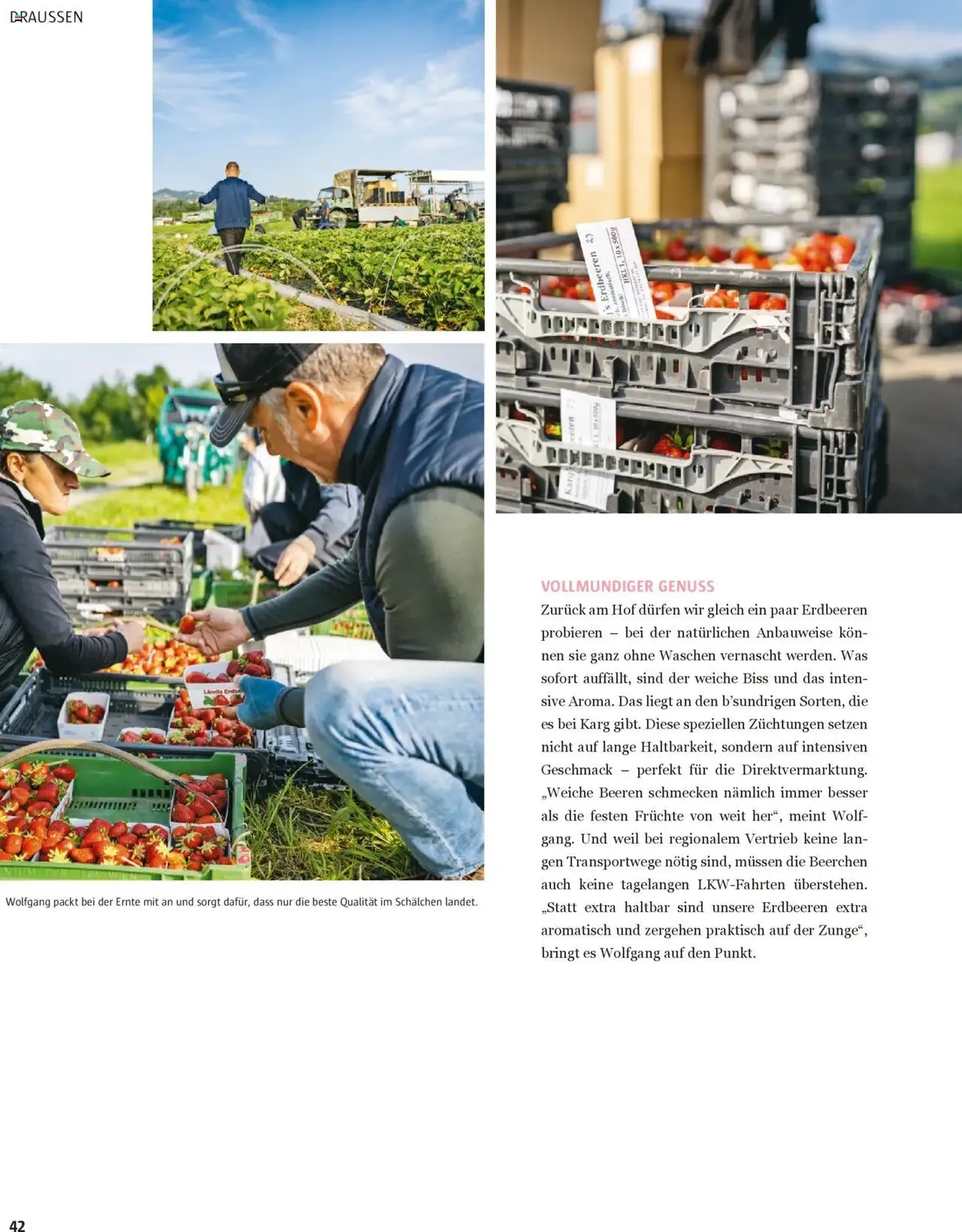 Sutterlüty B’sundrig Magazine - Gültiger Prospekt ab 18.06.2025, Seite 42 von insgesamt 116 Sutterlüty B’sundrig Magazine - Gültiger Prospekt ab 18.06.2025, Seite 42 von insgesamt 116
