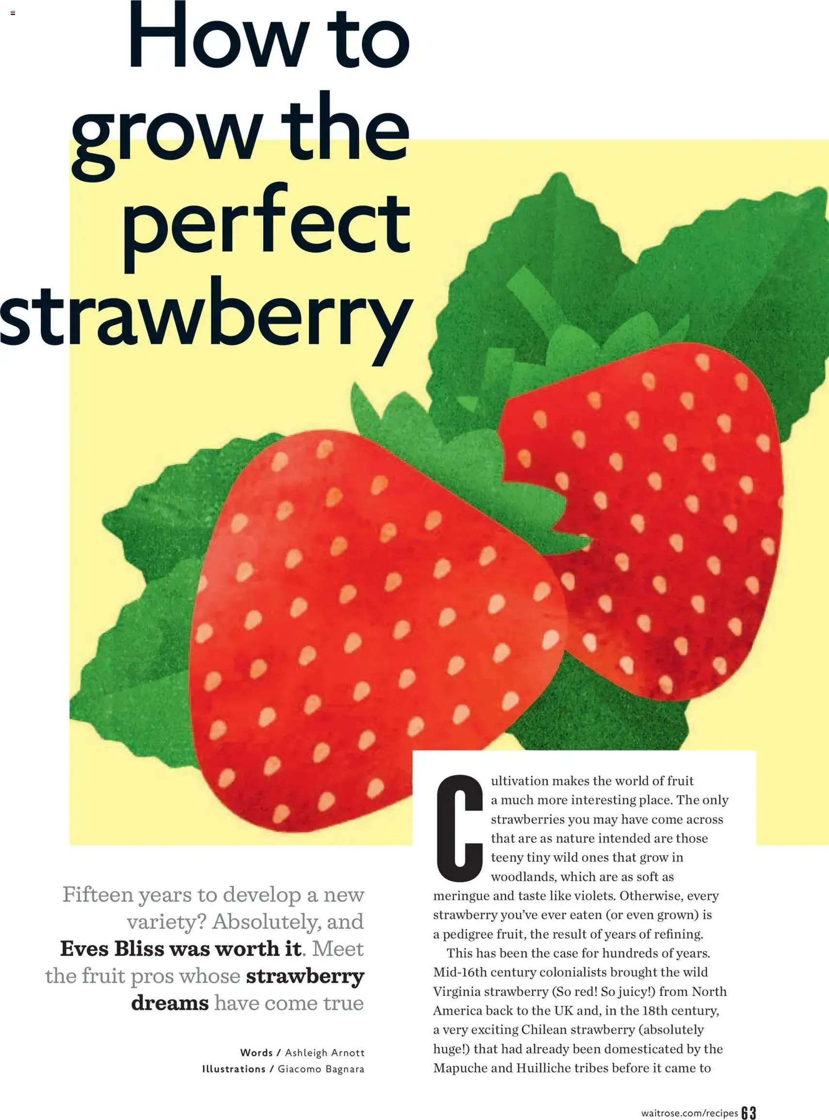 Waitrose - Offers - valid flyer from 01/07/2026, page 63 of 156