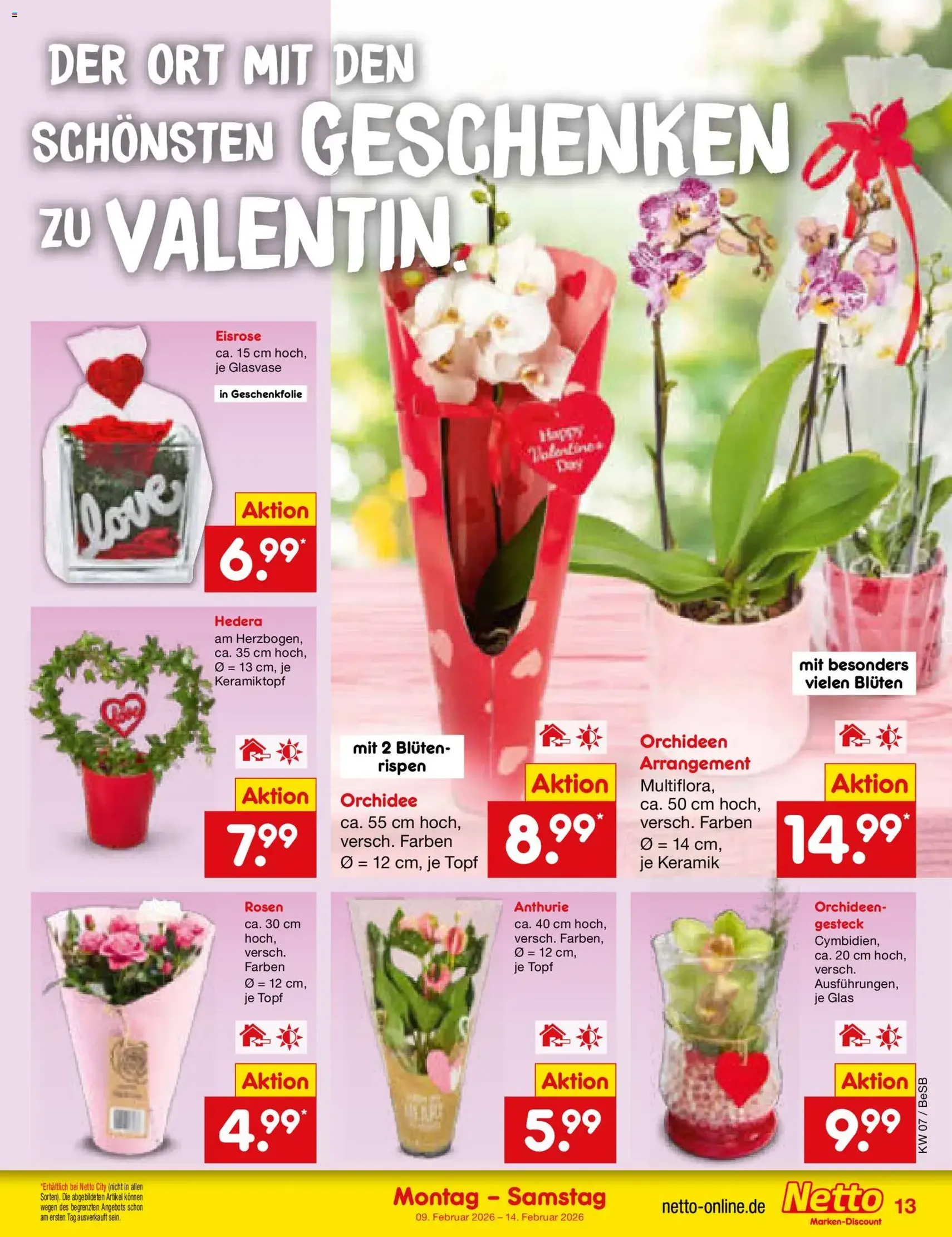Netto Marken-Discount Prospekt - Gültiger Prospekt ab 09.02.2026, Seite 13 von insgesamt 58