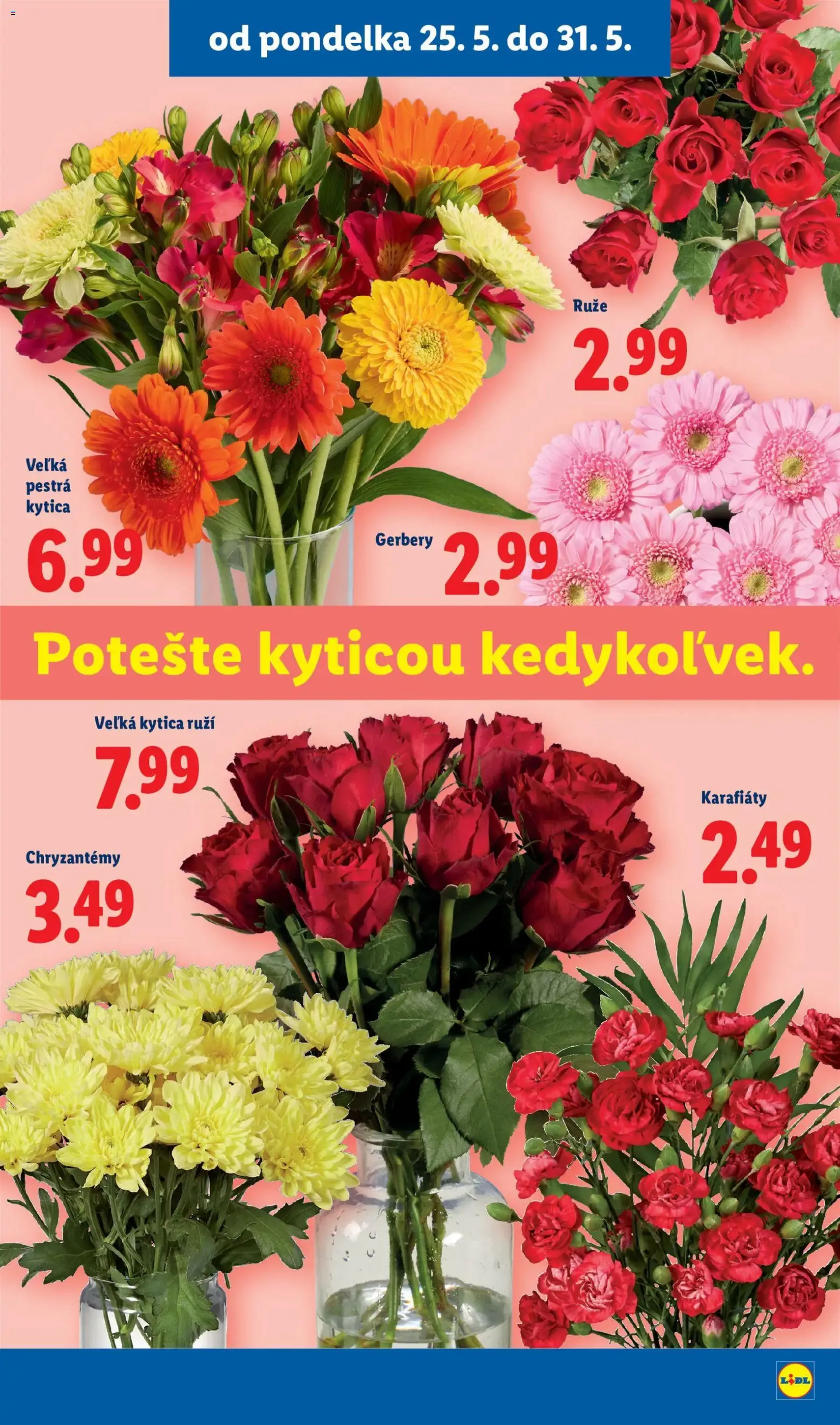 Lidl leták - platný leták od 25.05.2026 strana 49 z 109