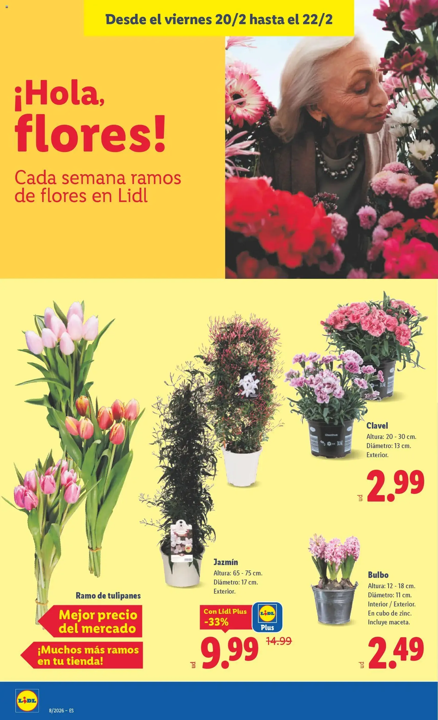 Lidl folleto - folleto válido desde 16/02/2026 página 40 de 41