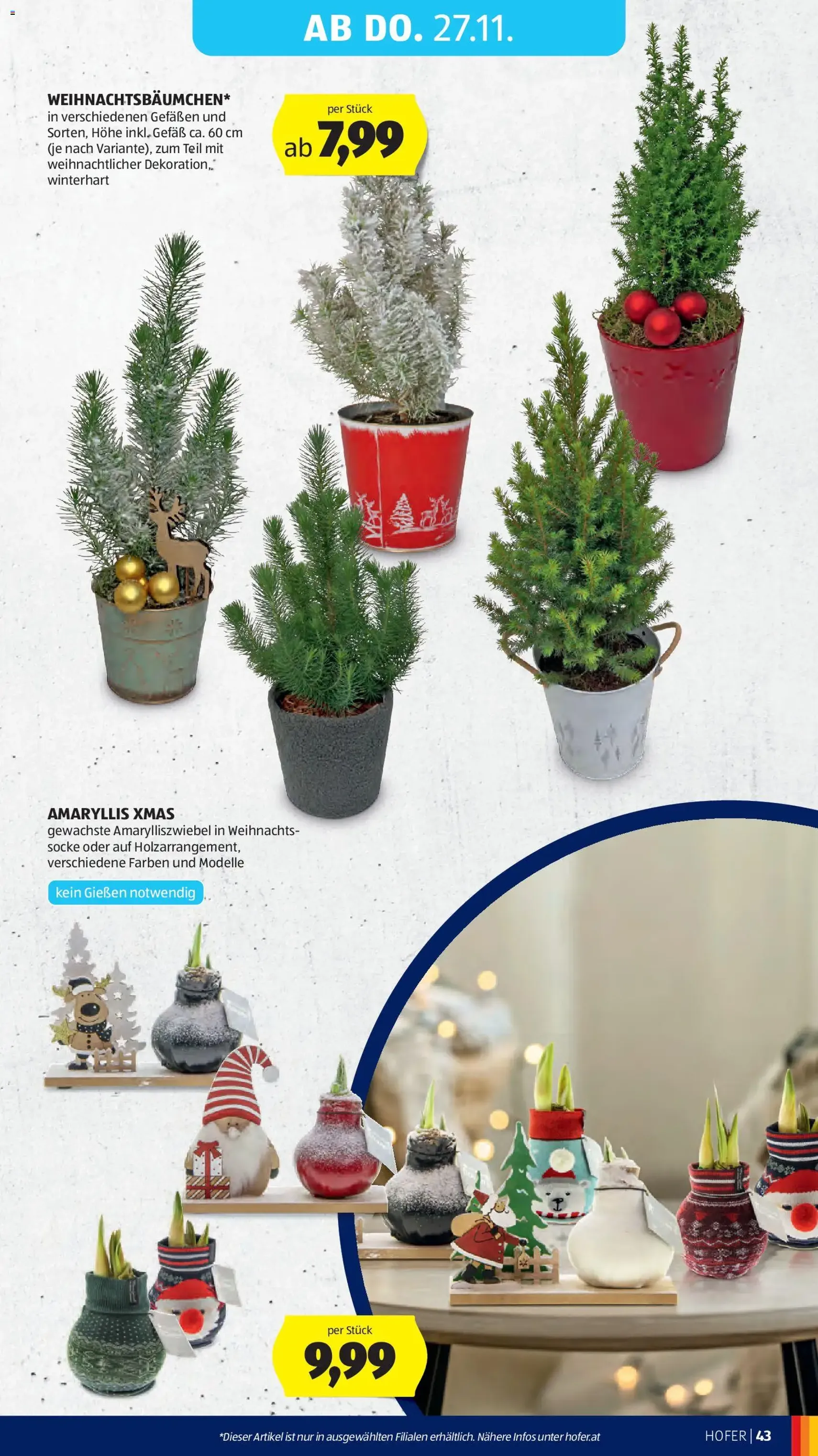 Hofer - Black Friday - Gültiger Prospekt ab 21.11.2025, Seite 57 von insgesamt 63
