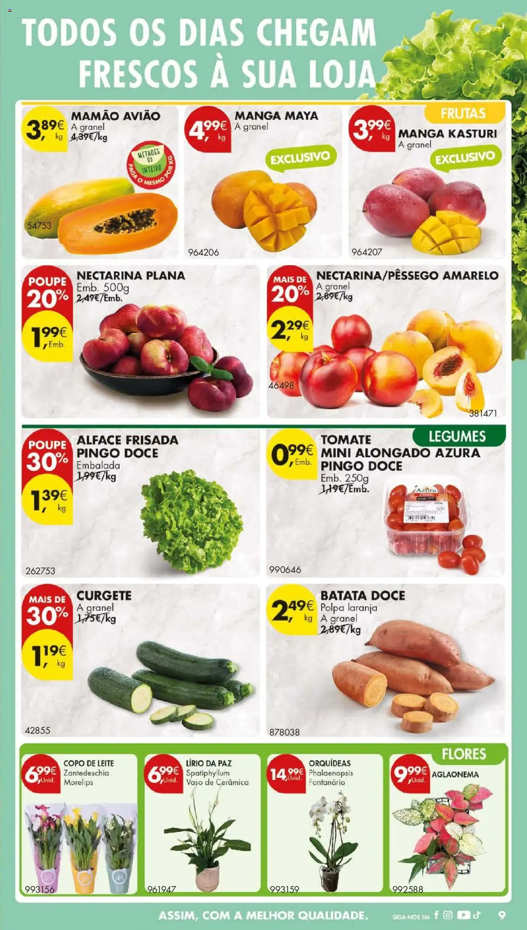 Pingo Doce folheto - folheto válido a partir de 12/08/2025 página 11 de 56