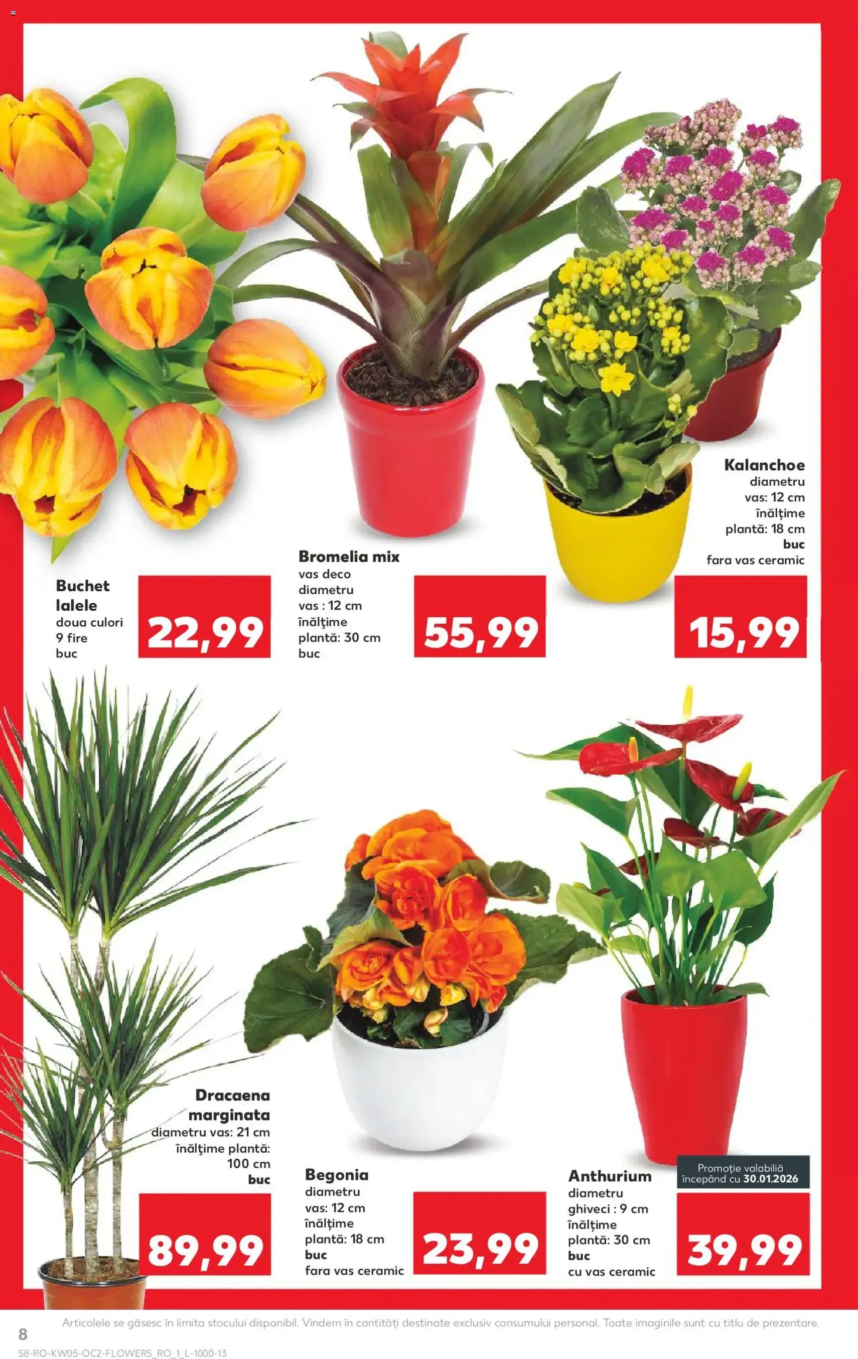 Catalog Kaufland - cataloage valabile începând cu 28.01.2026 pagina 8 din 58