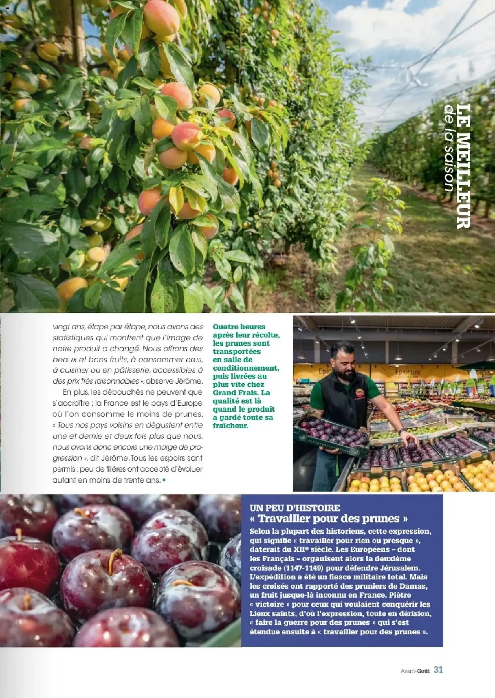Grand Frais - Eté 2026 - brochure valable à partir du 30/09/2026, page 31 sur 68