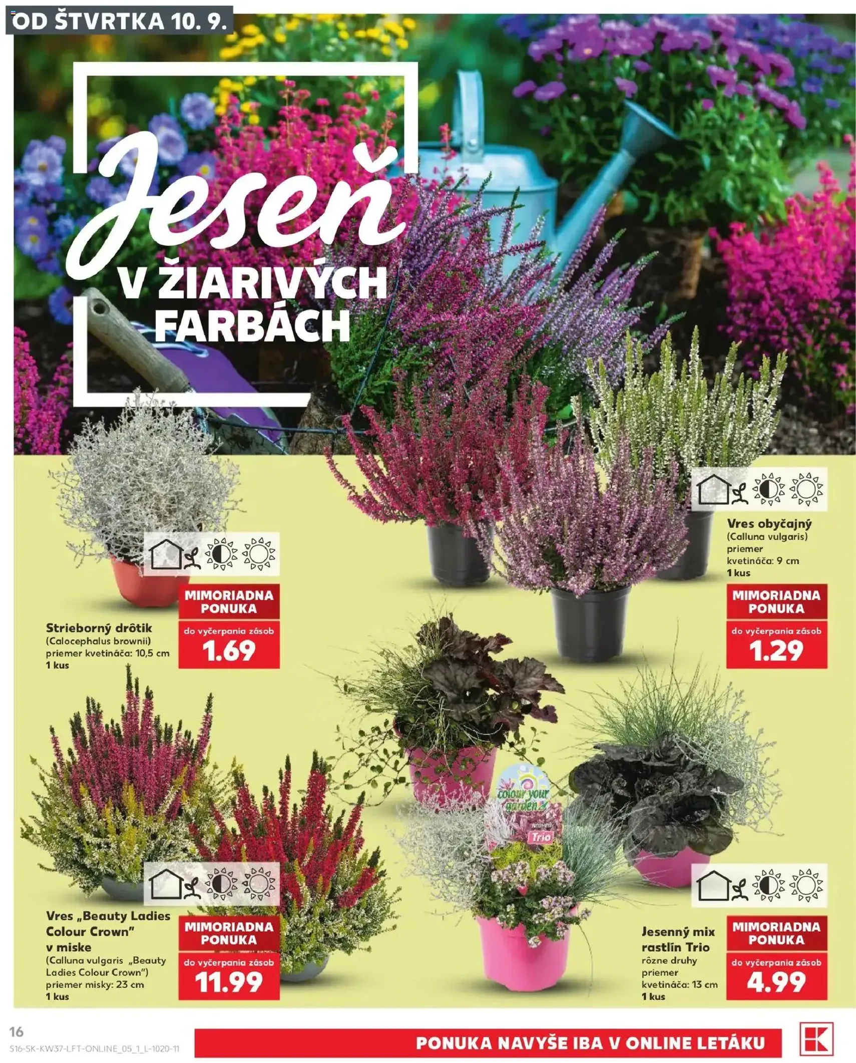 Kaufland leták - platný leták od 10.09.2026 strana 16 z 84