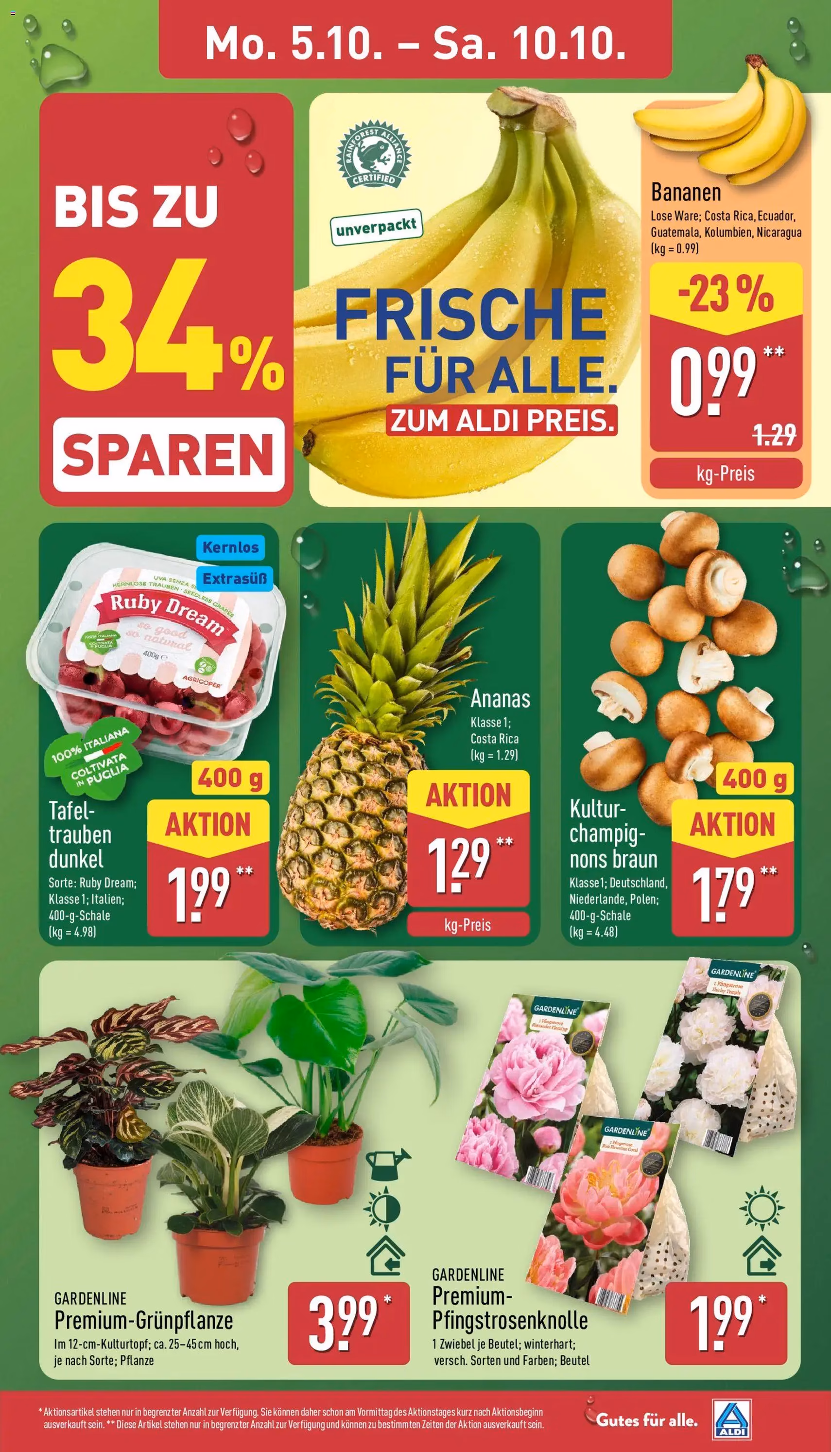 Aldi Prospekt - Gültiger Prospekt ab 05.10.2026, Seite 3 von insgesamt 48