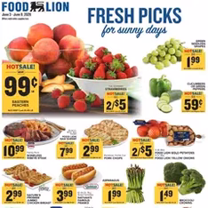 Food Lion Weekly Ad - Flyer preview valid from 06/03/2026
