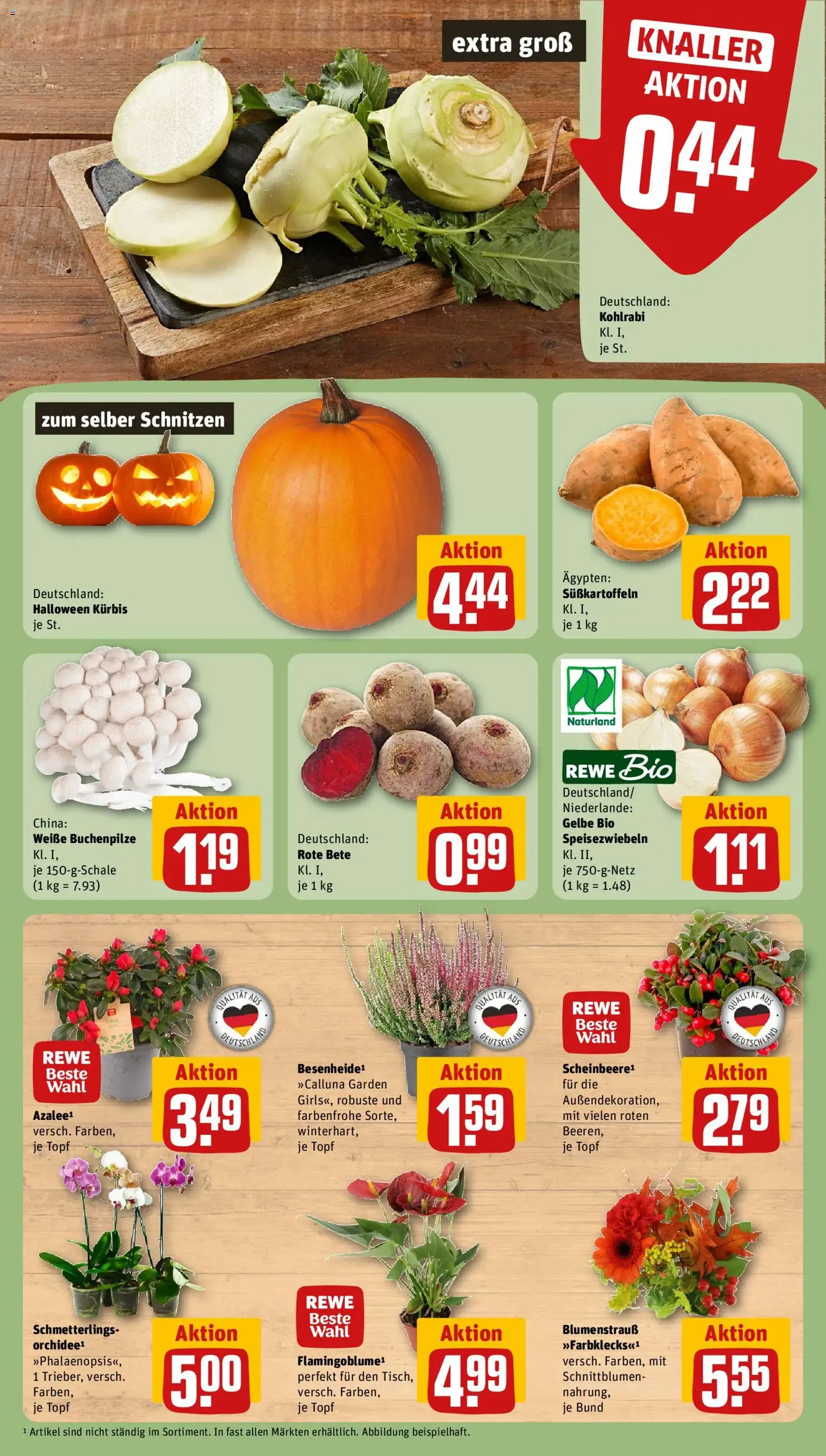 Rewe Prospekt - Gültiger Prospekt ab 12.10.2026, Seite 5 von insgesamt 30