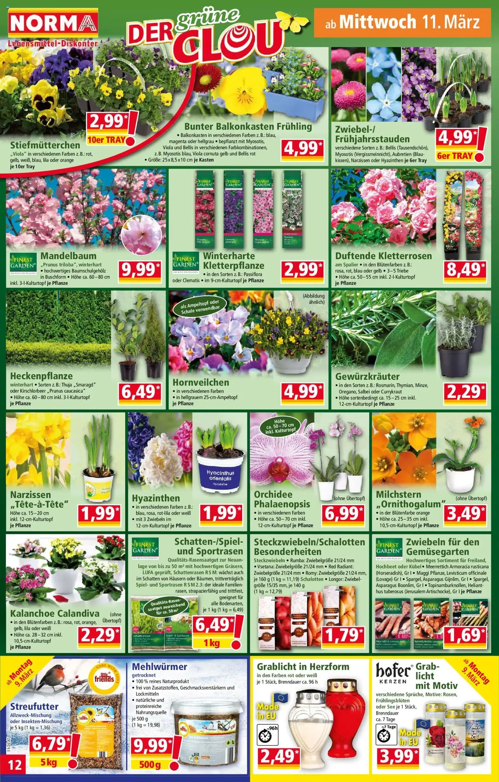 Norma Flugblatt - Gültiger Prospekt ab 09.03.2026, Seite 12 von insgesamt 18